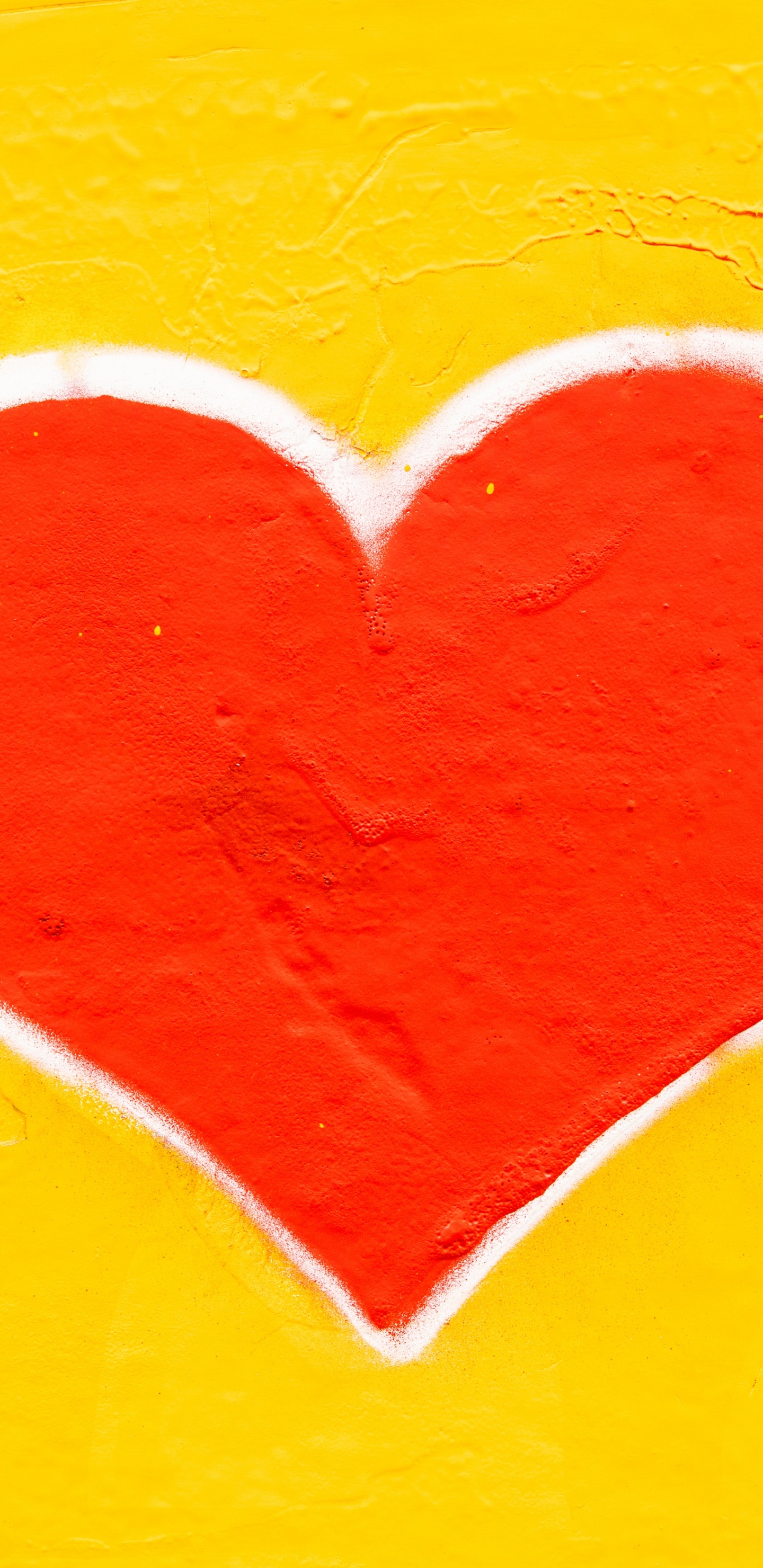 Heart, Heart Health, Cardiovascular Disease, Heart Attack, Human Body. Wallpaper in 1440x2960 Resolution