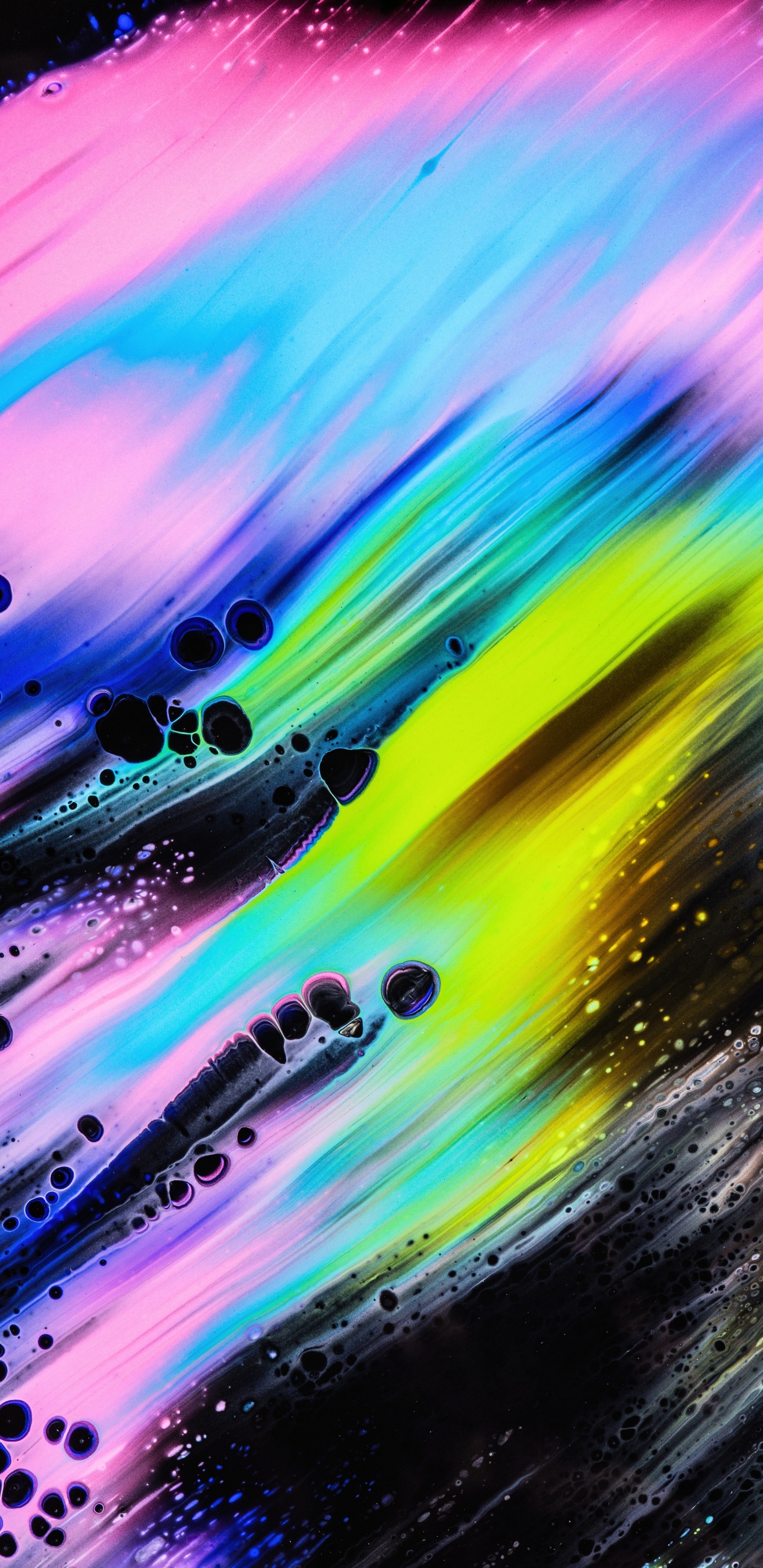 Standplatzliste Große Alte Stände, Landhaus, Farbigkeit, Purpur, Veilchen. Wallpaper in 1440x2960 Resolution