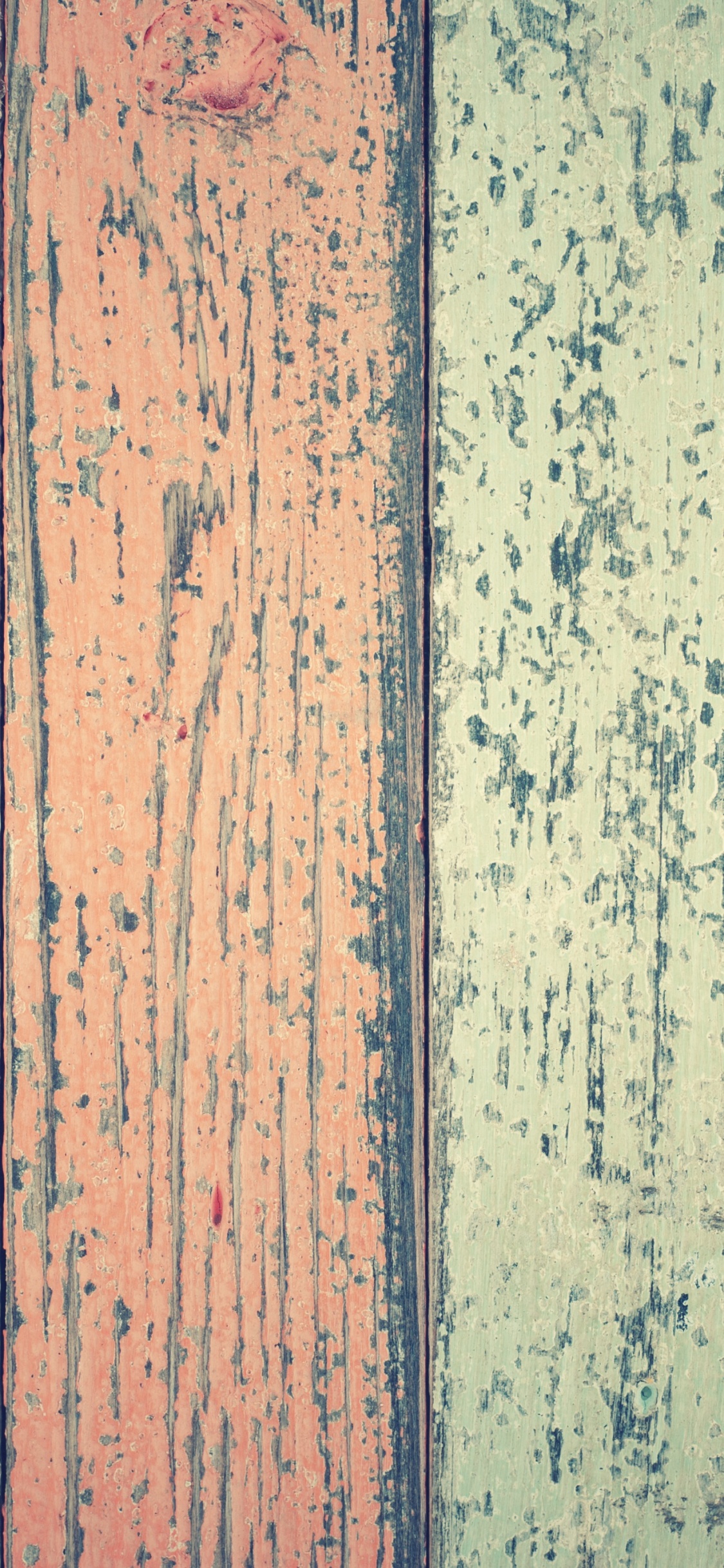 Brown, Colorfulness, Blue, Green, Wood. Wallpaper in 1125x2436 Resolution