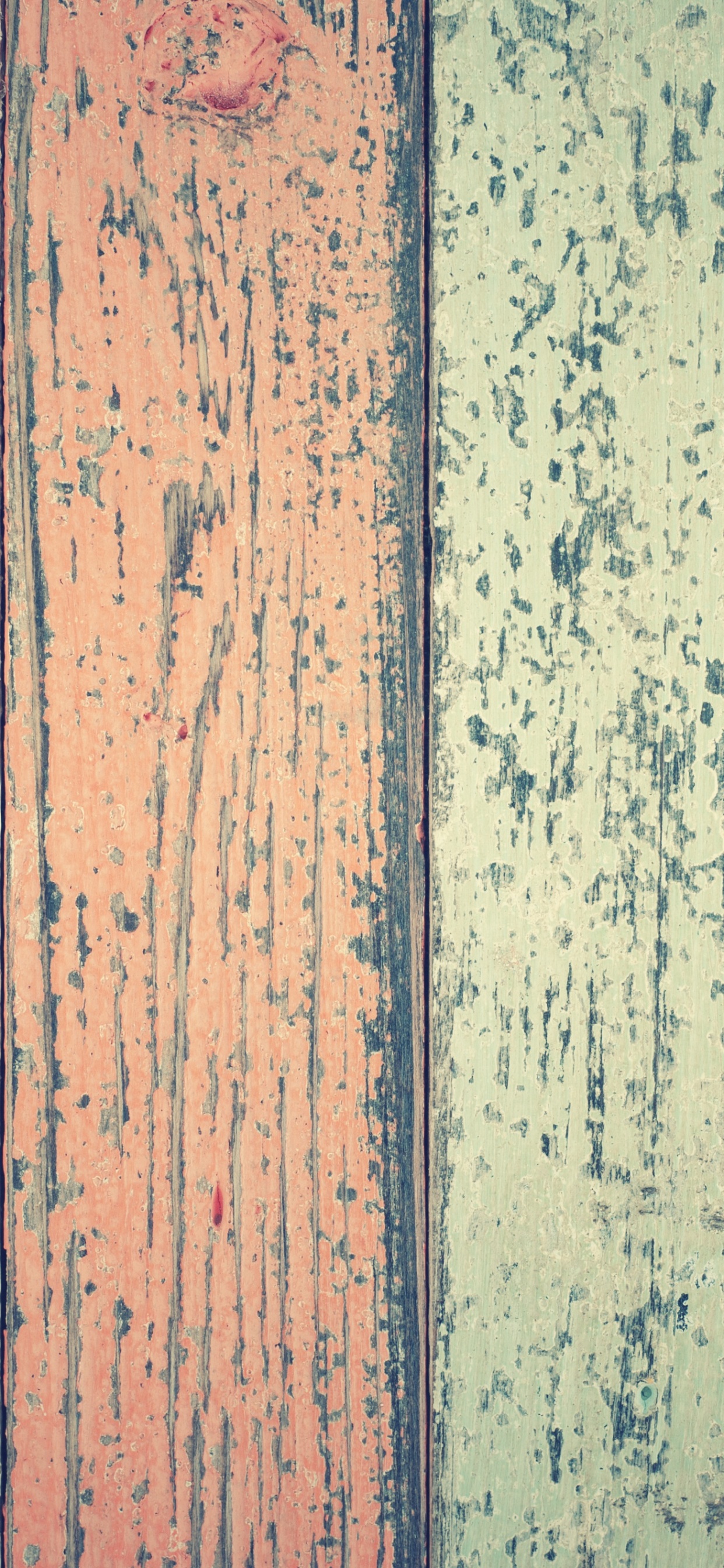 Brown, Colorfulness, Blue, Green, Wood. Wallpaper in 1242x2688 Resolution