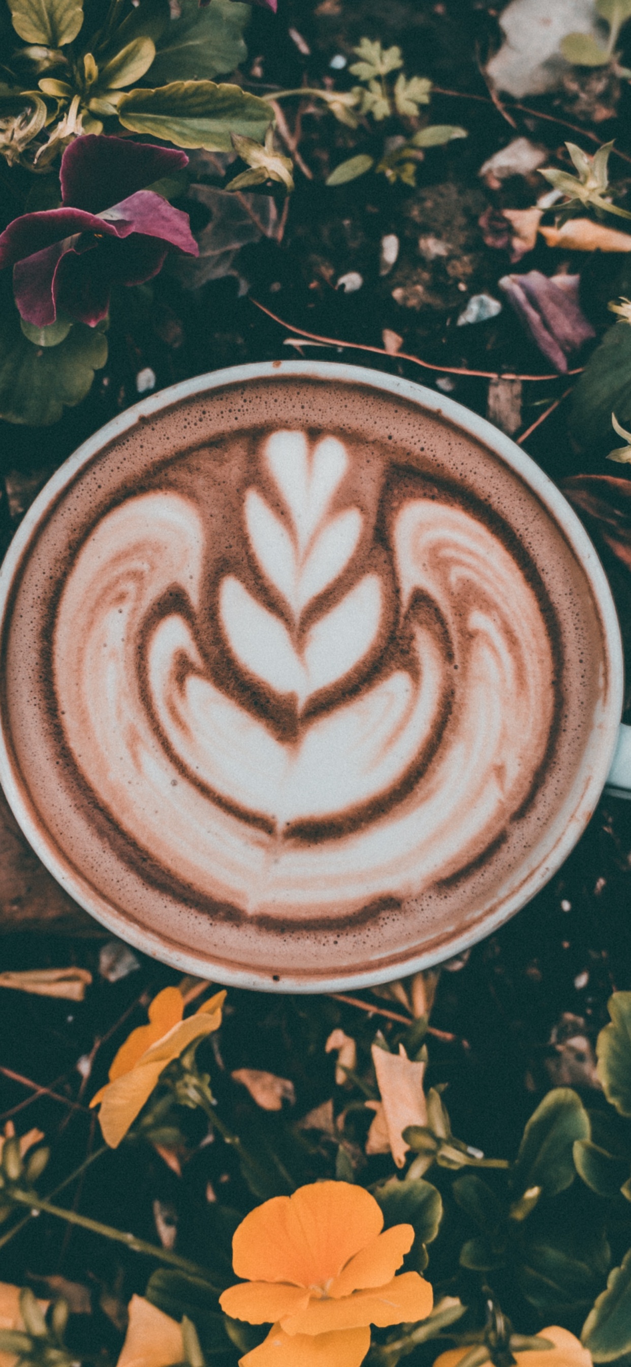 White Ceramic Mug With Brown Liquid on Brown Wooden Table. Wallpaper in 1242x2688 Resolution