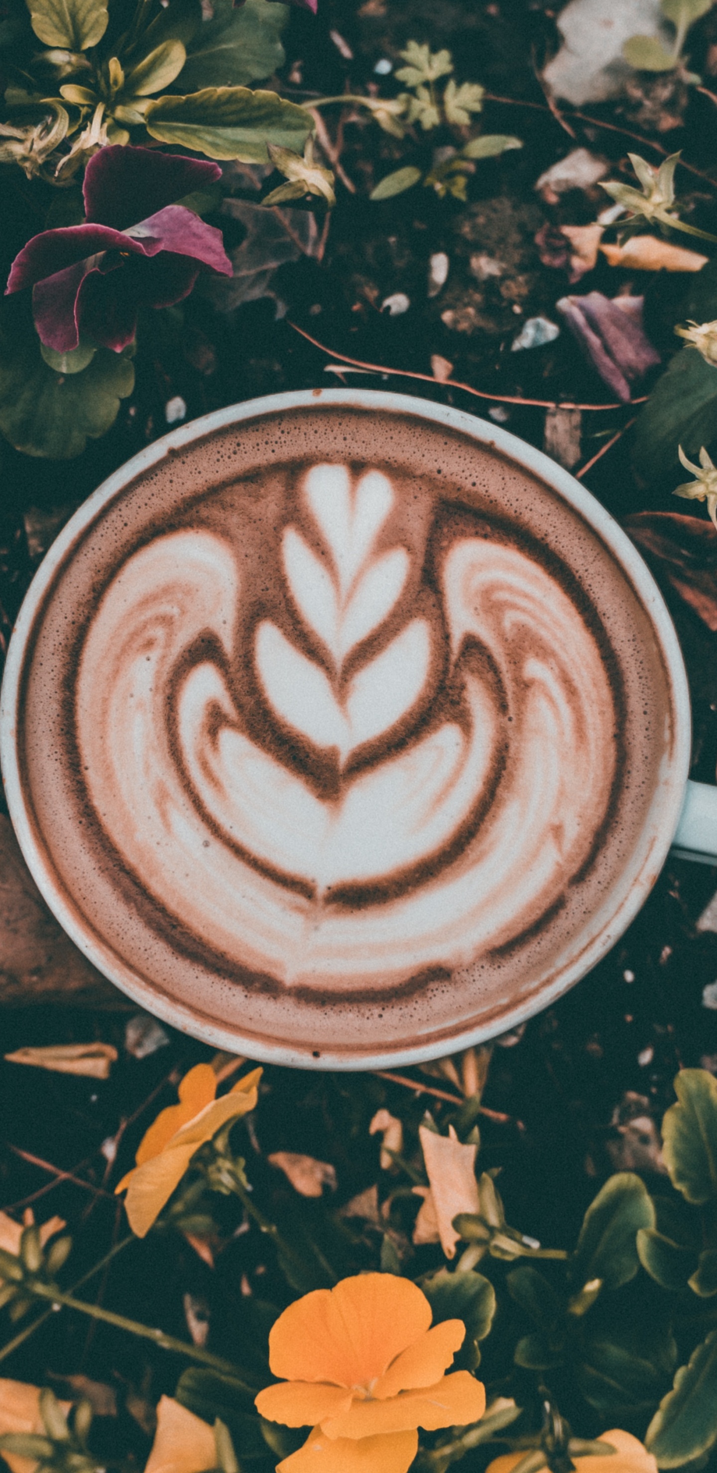 Weiße Keramiktasse Mit Brauner Flüssigkeit Auf Braunem Holztisch. Wallpaper in 1440x2960 Resolution