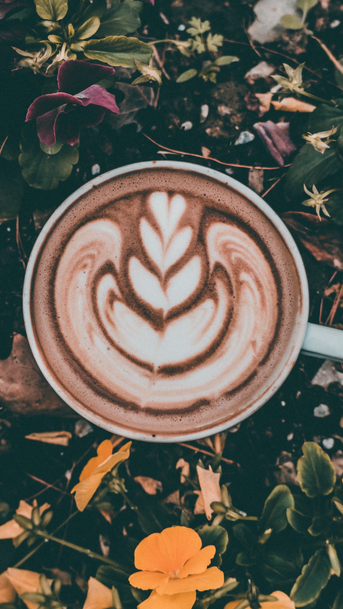 Tasse en Céramique Blanche Avec Liquide Marron Sur Table en Bois Marron. Wallpaper in 1440x2560 Resolution