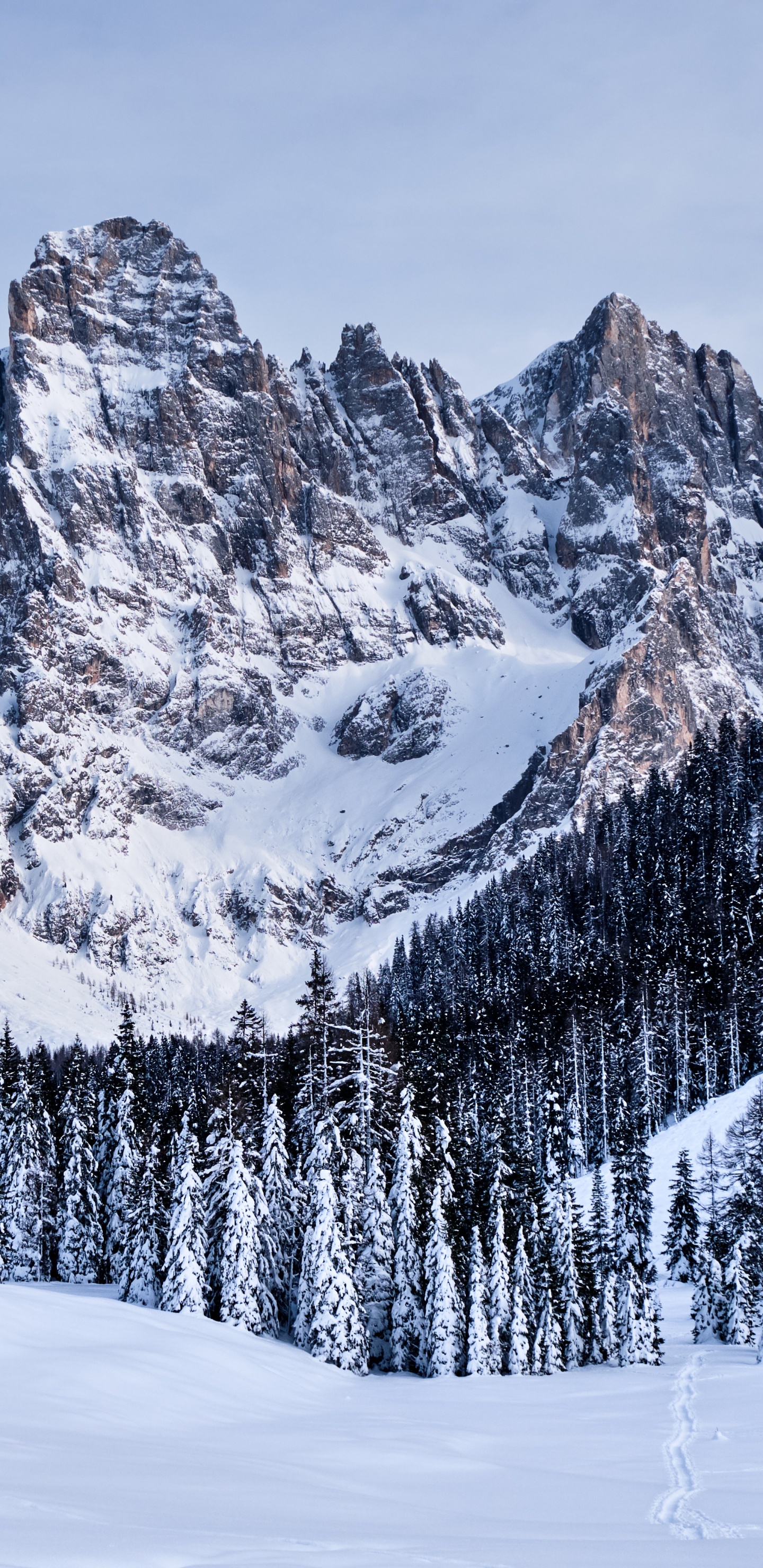 Bergigen Landschaftsformen, Schnee, Winter, Bergkette, Gletscher-landform. Wallpaper in 1440x2960 Resolution