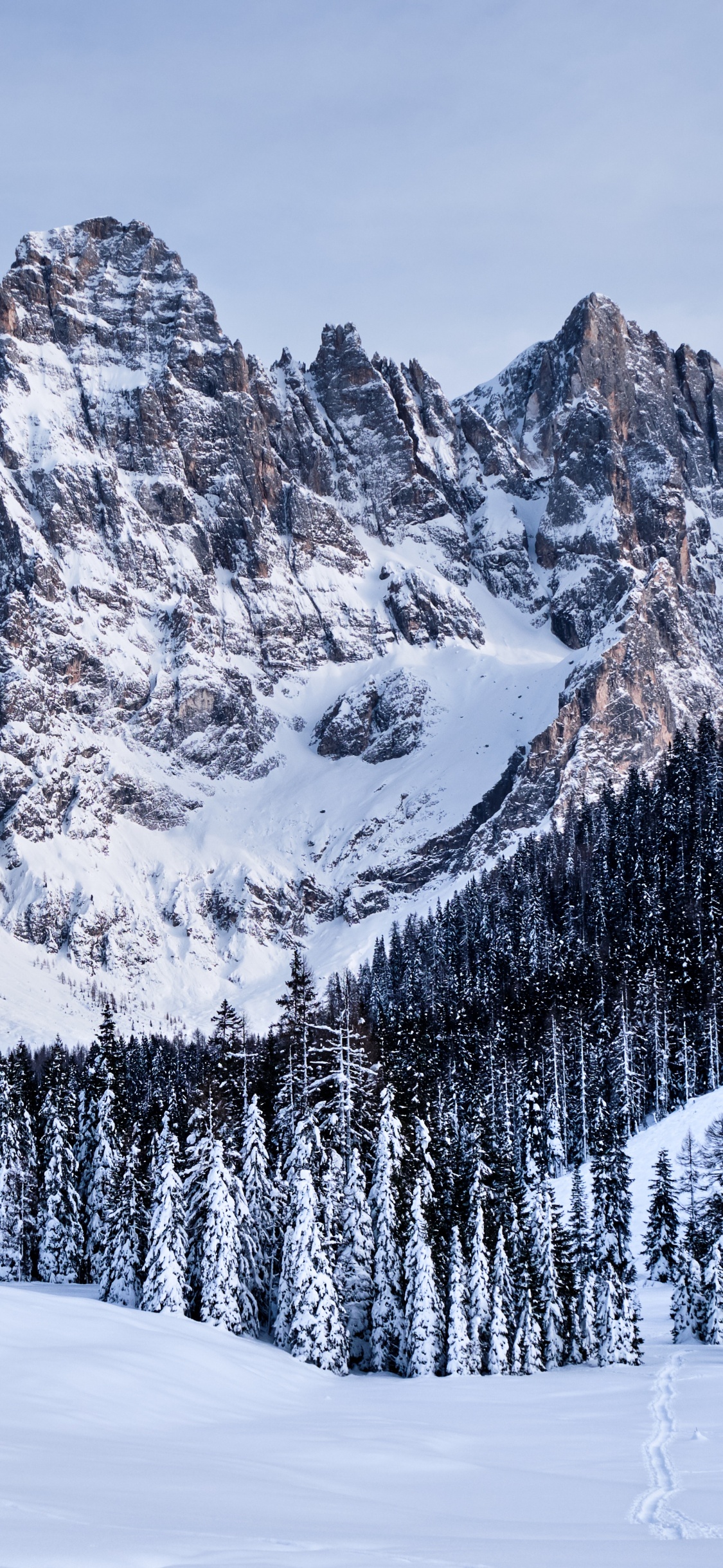Pala Group, Mountainous Landforms, Snow, Mountain, Winter. Wallpaper in 1125x2436 Resolution
