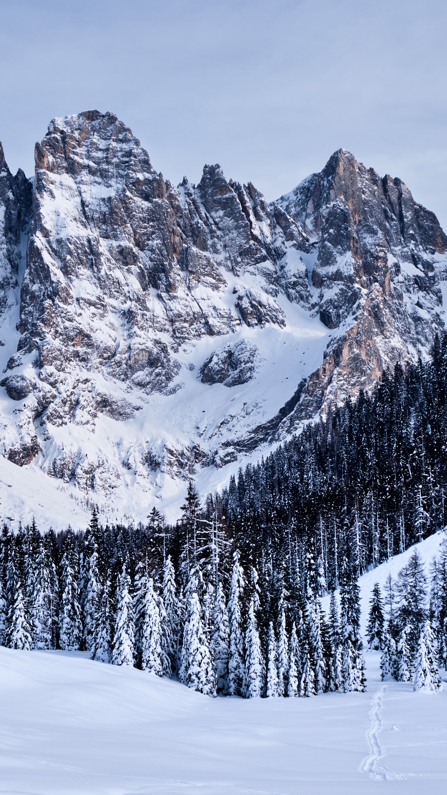 Pala Group, Mountainous Landforms, Snow, Mountain, Winter. Wallpaper in 1440x2560 Resolution