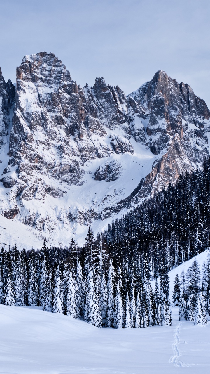 Pala Group, Mountainous Landforms, Snow, Mountain, Winter. Wallpaper in 720x1280 Resolution