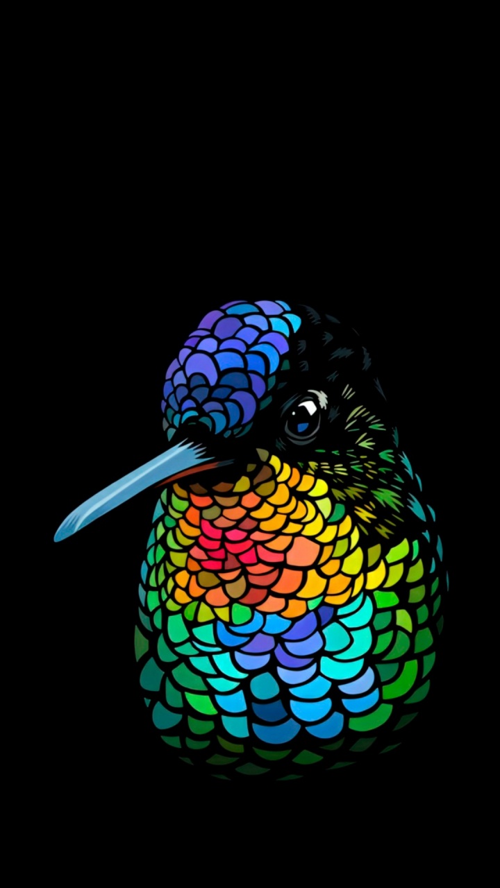 t Shirt, Bird, Beak, Phasianidae, Macaw. Wallpaper in 720x1280 Resolution