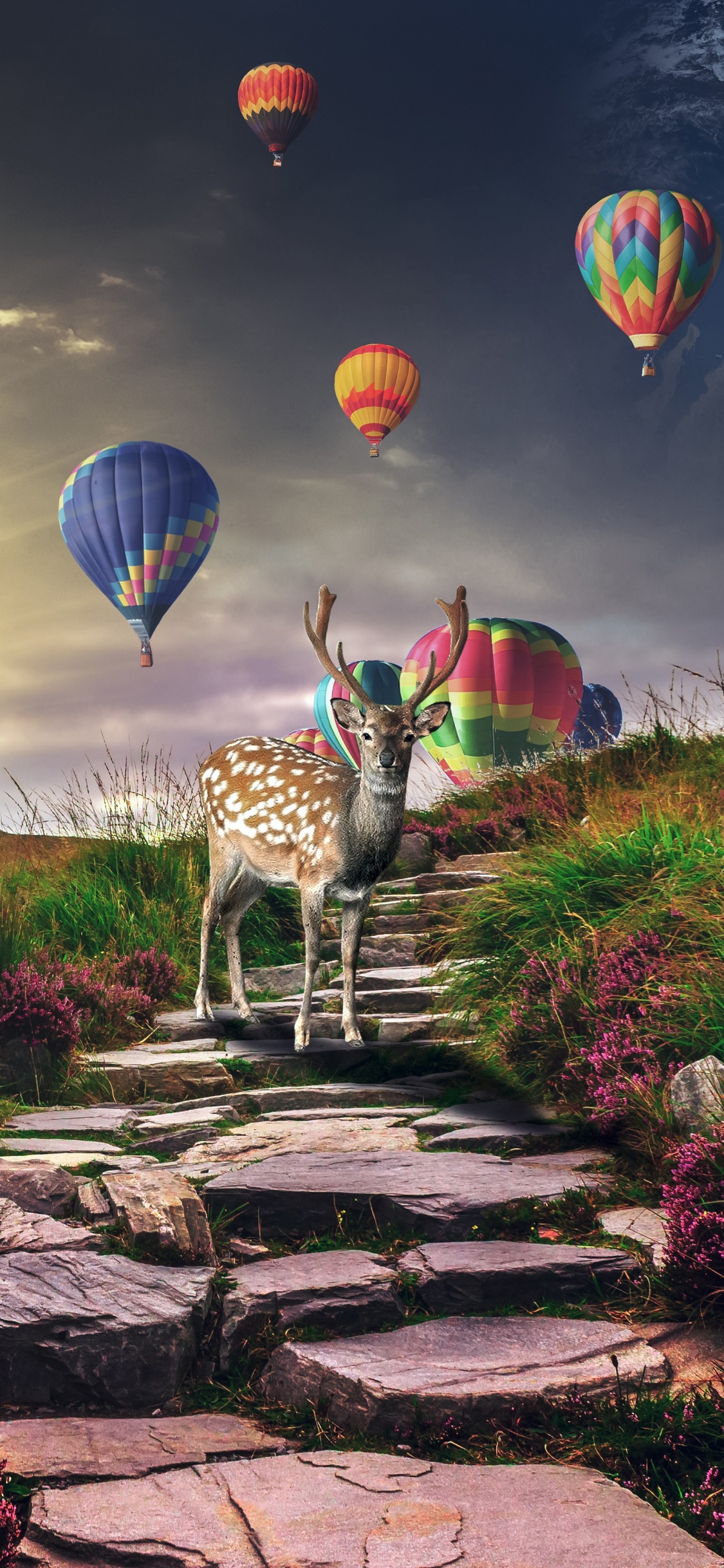 Hot Air Balloons on Sky Above Purple Flower Field. Wallpaper in 1125x2436 Resolution