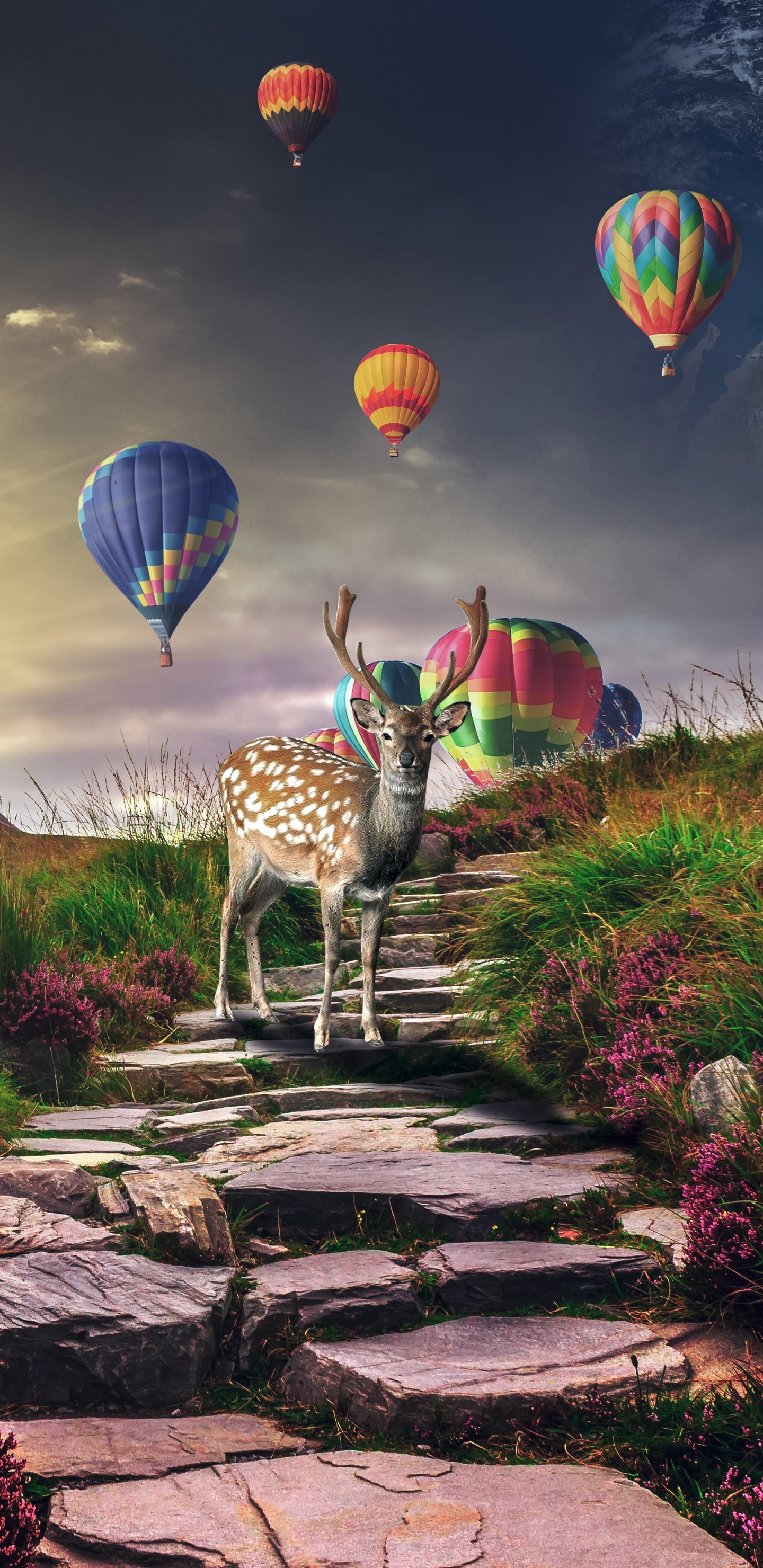 Hot Air Balloons on Sky Above Purple Flower Field. Wallpaper in 1440x2960 Resolution