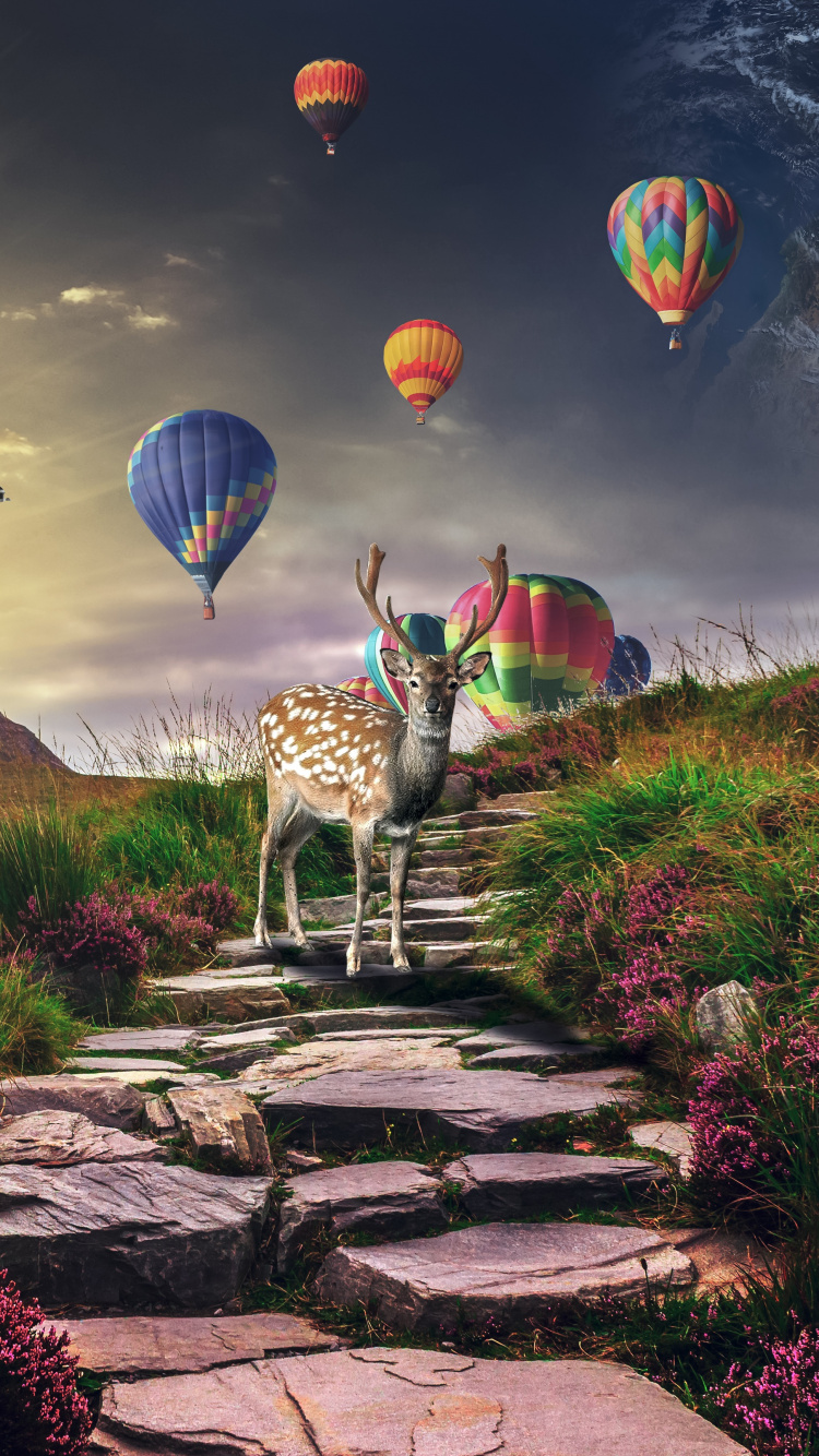 Hot Air Balloons on Sky Above Purple Flower Field. Wallpaper in 750x1334 Resolution