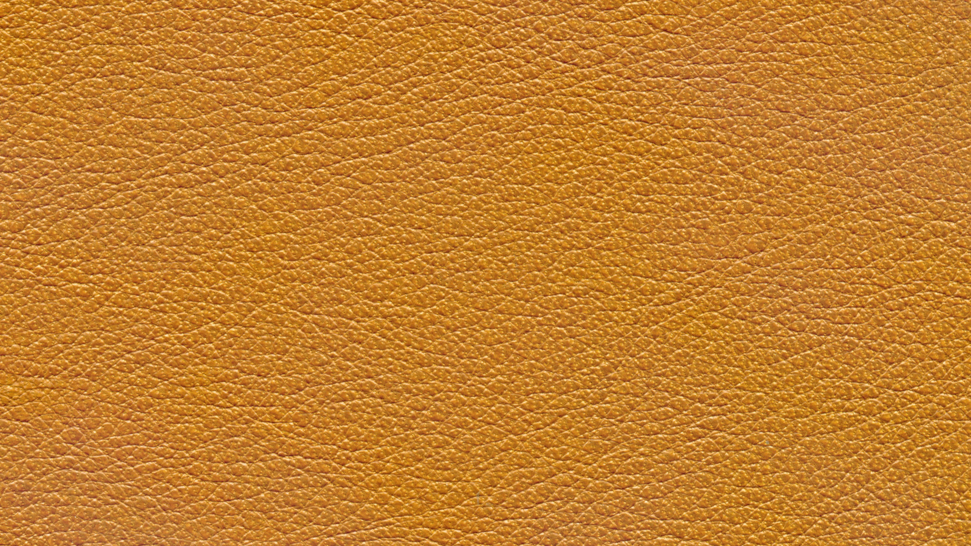 Braun-weiß Gestrichene Wand. Wallpaper in 1920x1080 Resolution