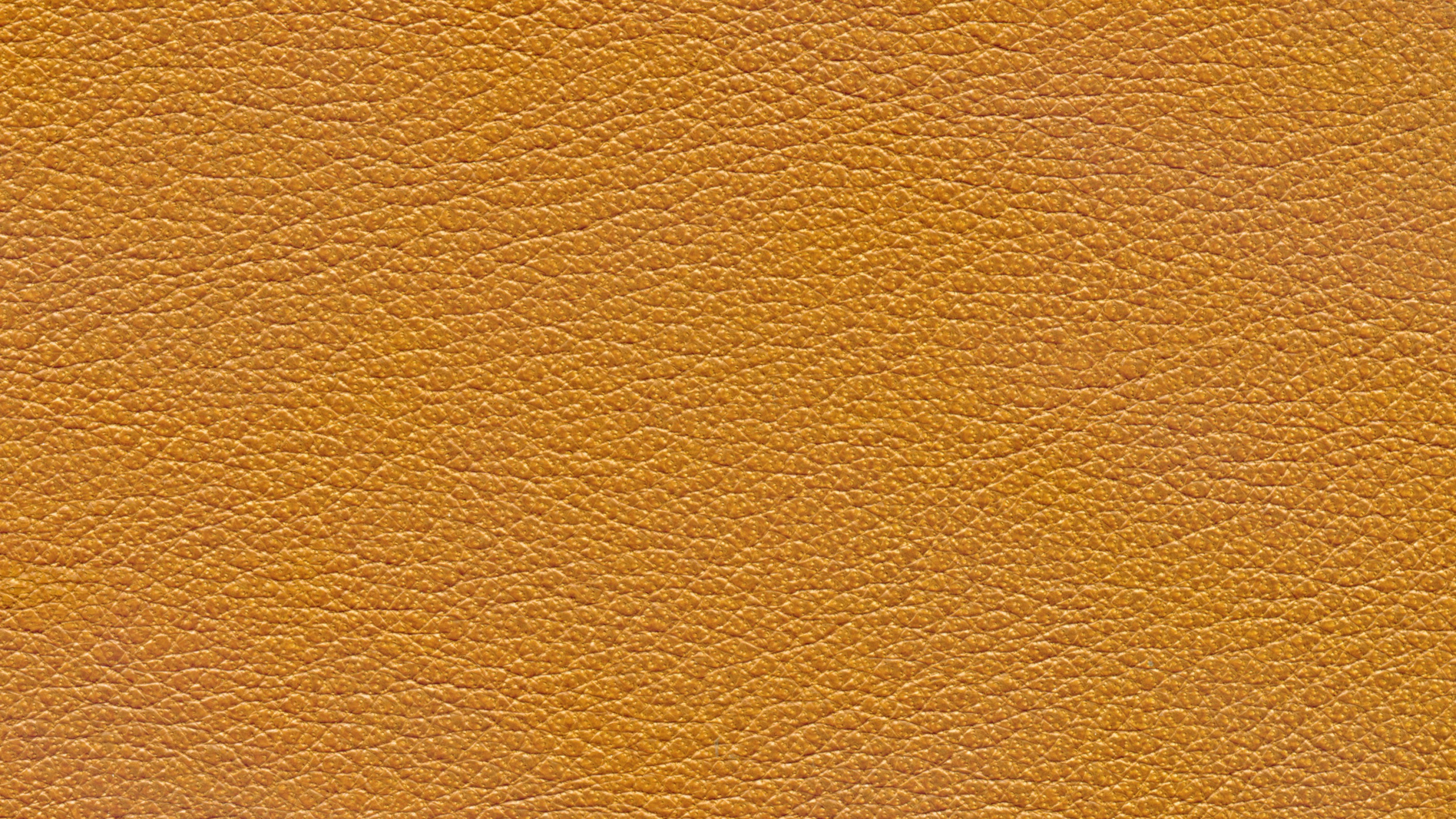 Pared Pintada de Marrón y Blanco. Wallpaper in 2560x1440 Resolution