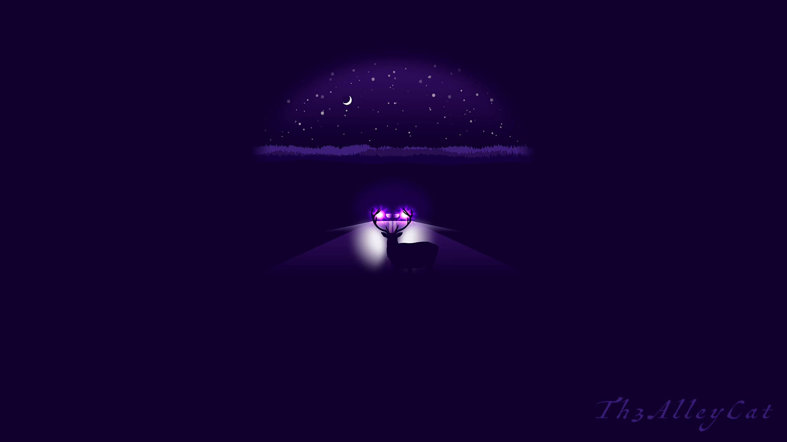 Homme en Costume Noir Debout Sur Une Pièce Sombre. Wallpaper in 2560x1440 Resolution