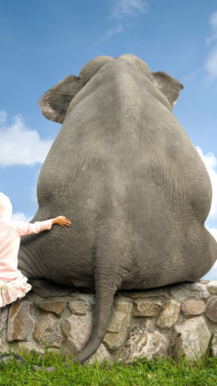 Amitié, Les Éléphants et Les Mammouths, Pour Les Animaux Terrestres, Éléphant Indien, Rock. Wallpaper in 720x1280 Resolution