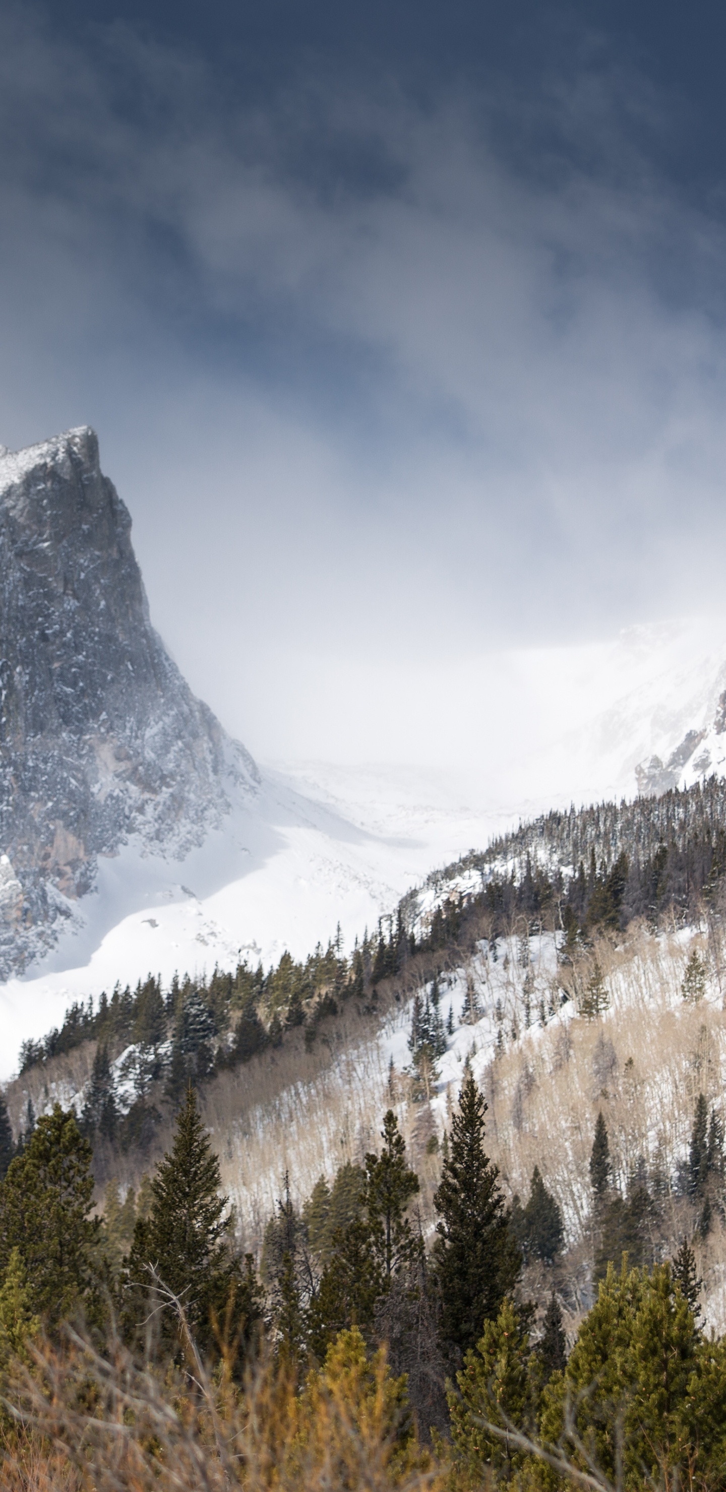 Mountain, Hallett Peak, Alps, Moraine Lake, Nature. Wallpaper in 1440x2960 Resolution