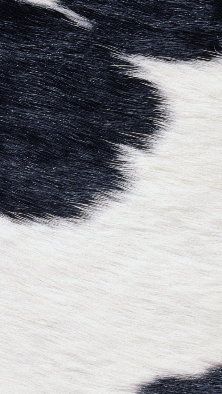 Black and White Striped Textile. Wallpaper in 720x1280 Resolution