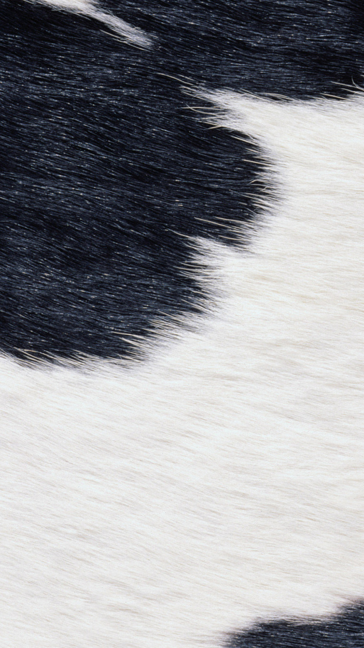 Black and White Striped Textile. Wallpaper in 750x1334 Resolution