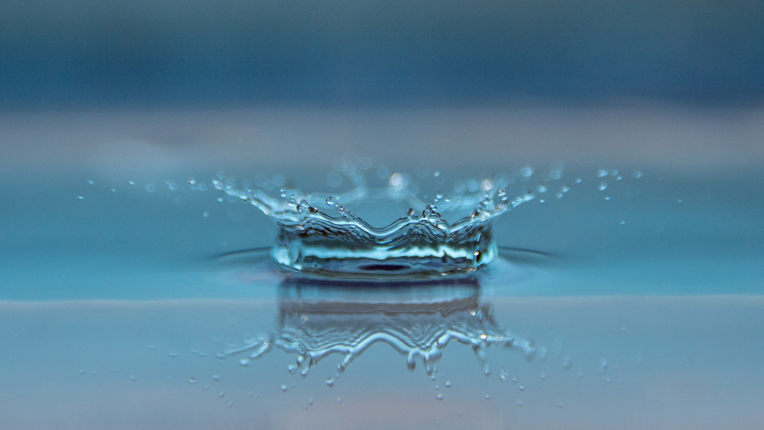 Gouttes D'eau Sur Verre Clair. Wallpaper in 2560x1440 Resolution