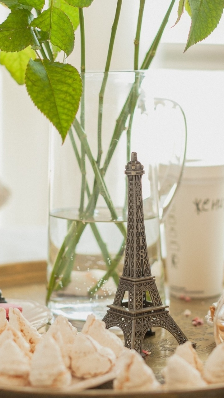 Plante Verte Sur Vase en Verre Clair. Wallpaper in 720x1280 Resolution