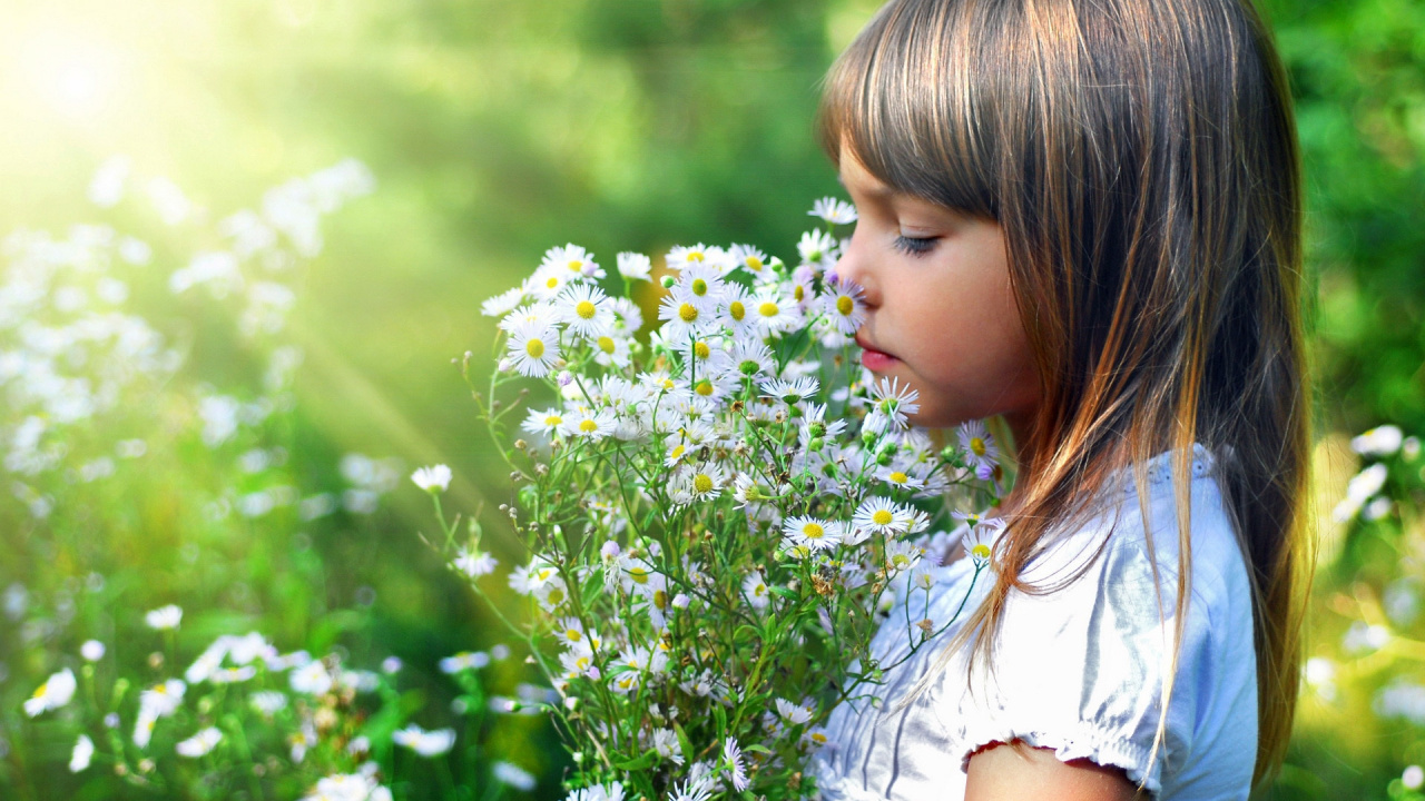 Green, Beauty, Child, Spring, Wildflower. Wallpaper in 1280x720 Resolution