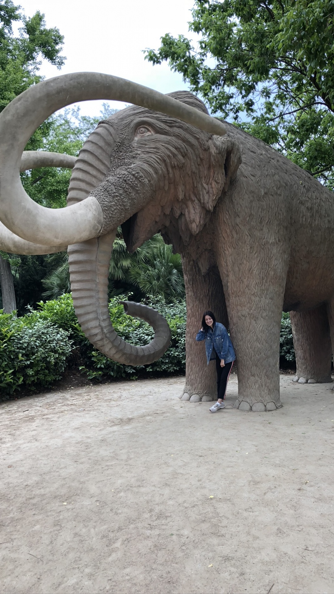 Elephants and Mammoths, African Elephants, Terrestrial Animal, Indian Elephant, Tusk. Wallpaper in 1080x1920 Resolution