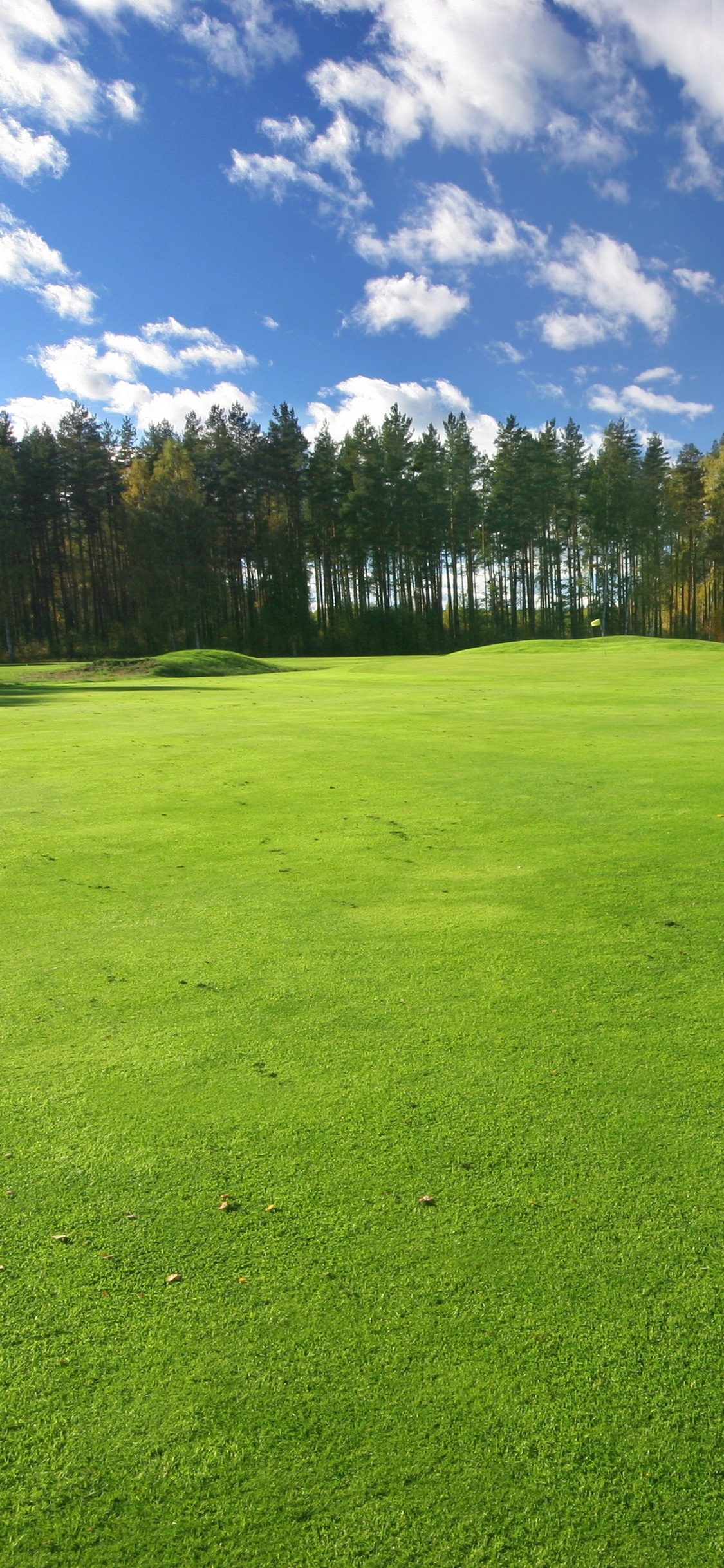 Campo de Hierba Verde Bajo un Cielo Azul y Nubes Blancas Durante el Día. Wallpaper in 1125x2436 Resolution