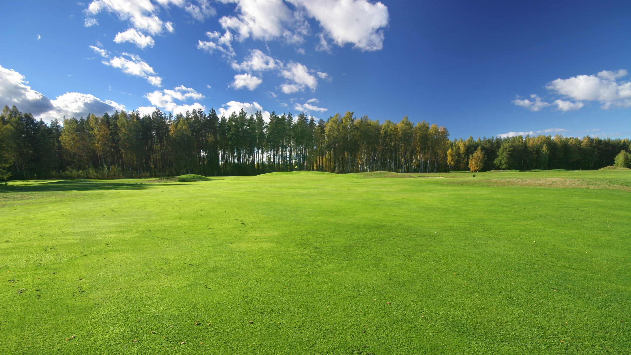Green Grass Field Under Blue Sky and White Clouds During Daytime. Wallpaper in 2560x1440 Resolution