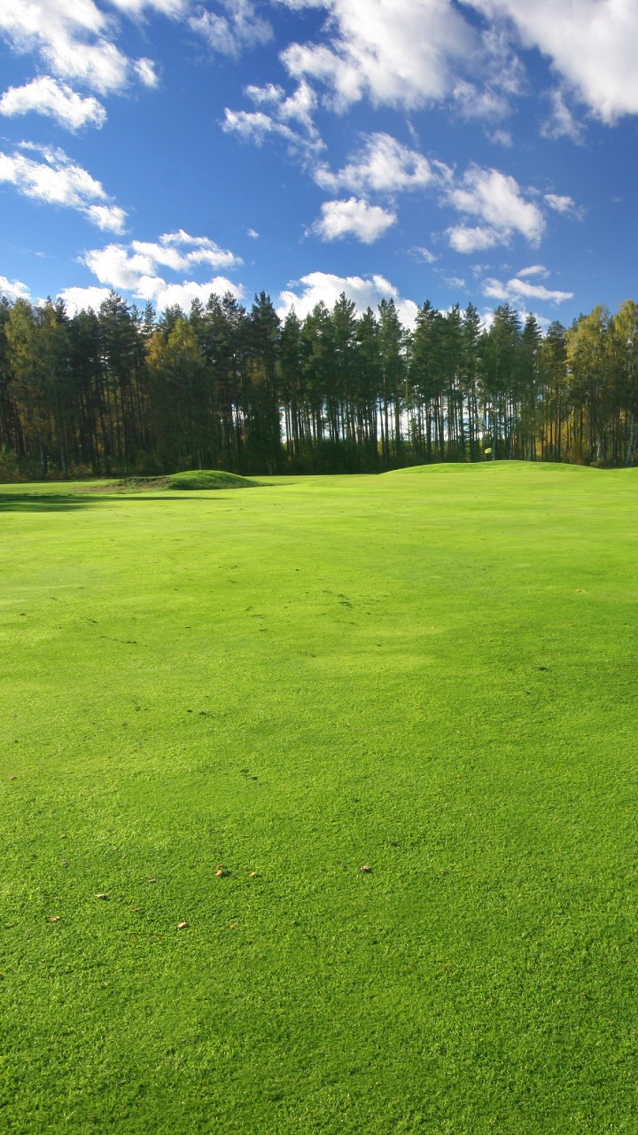 Green Grass Field Under Blue Sky and White Clouds During Daytime. Wallpaper in 720x1280 Resolution
