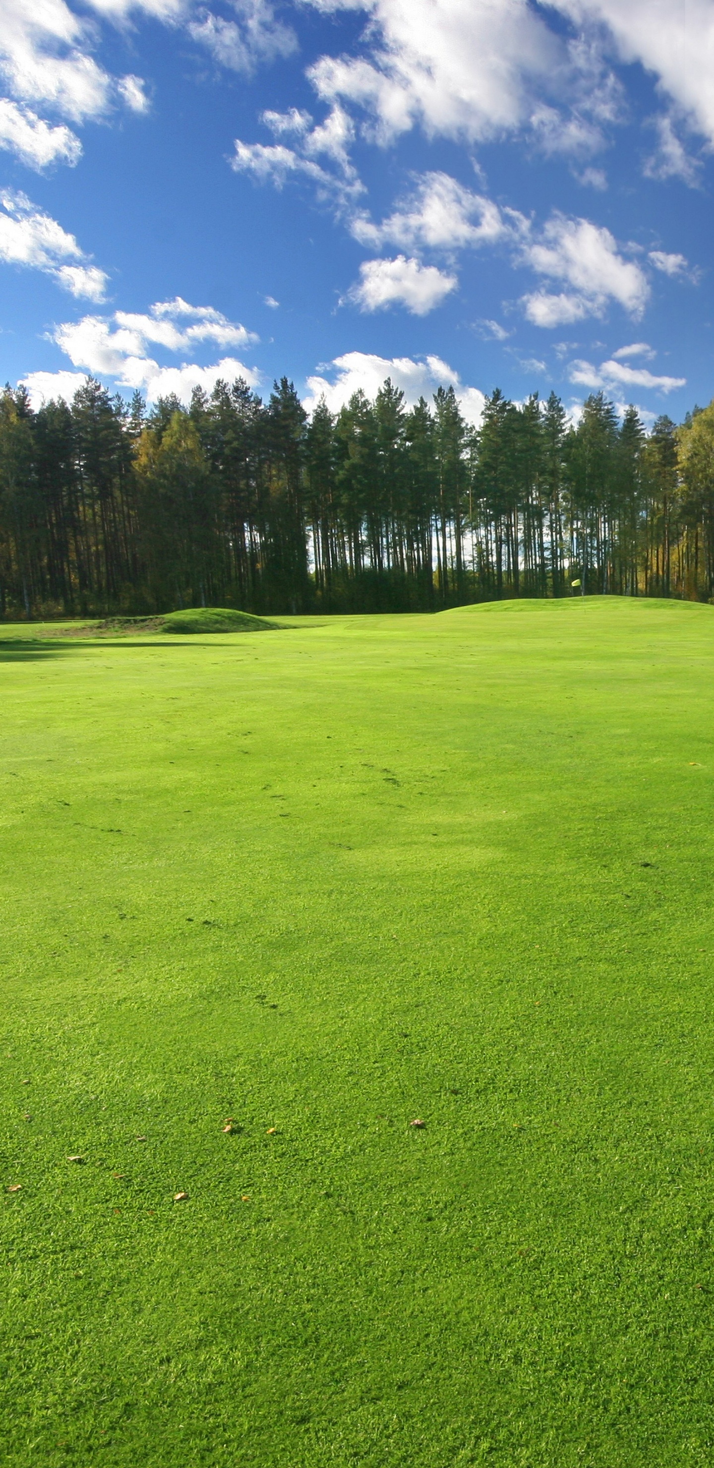 Grüne Wiese Unter Blauem Himmel Und Weißen Wolken Tagsüber. Wallpaper in 1440x2960 Resolution