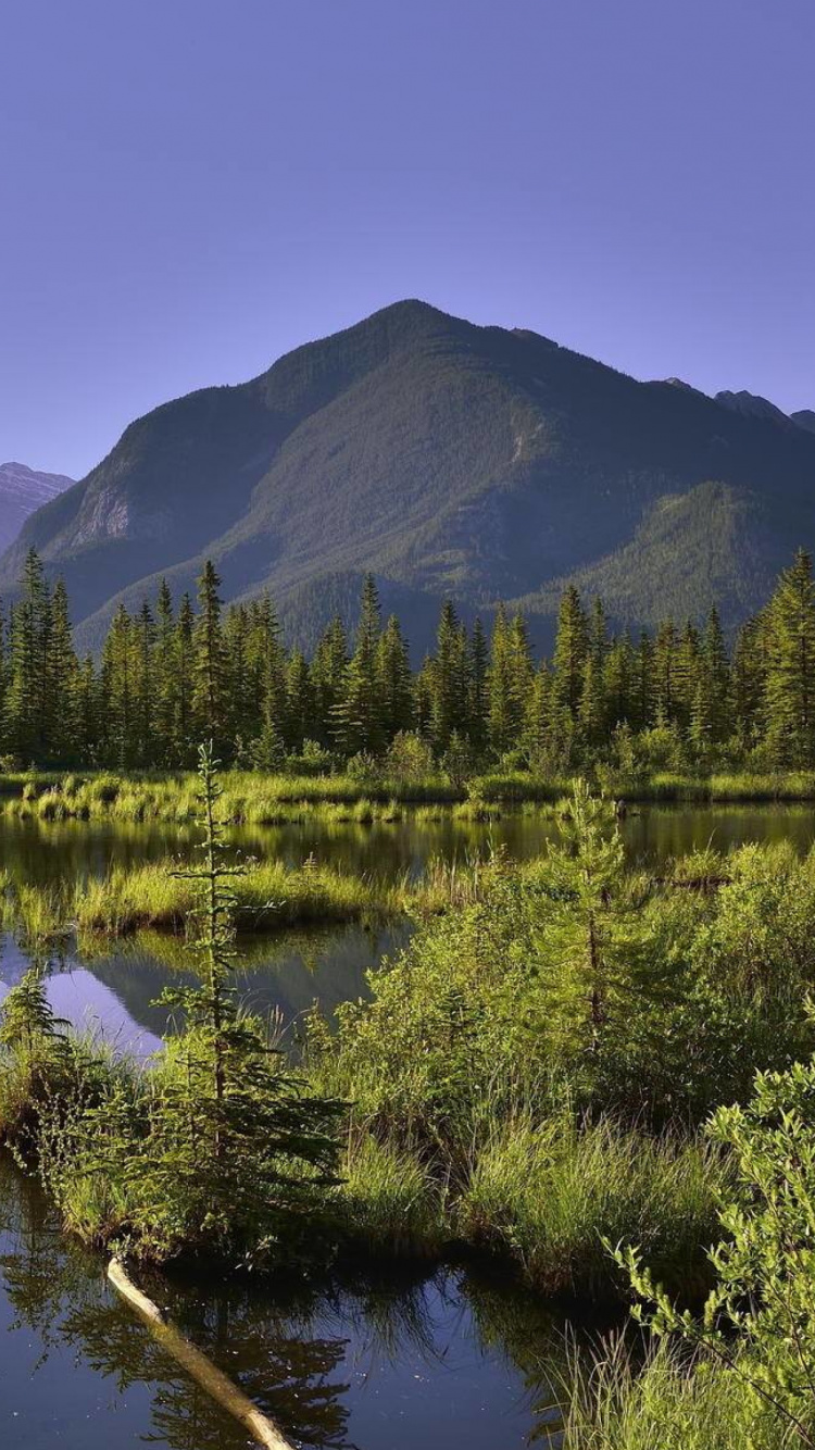 Green Trees Near Lake and Mountains During Daytime. Wallpaper in 750x1334 Resolution