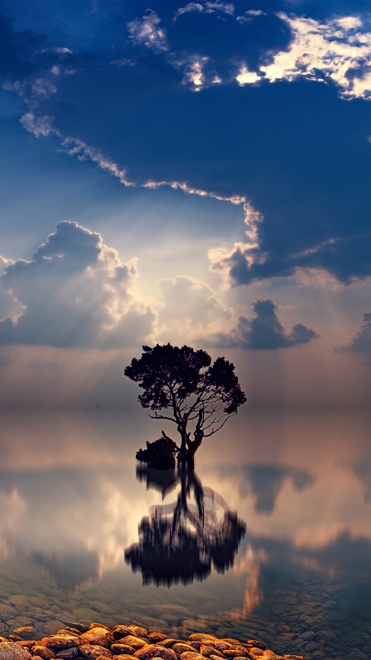 Plan D'eau Sous Ciel Nuageux Pendant la Journée. Wallpaper in 1440x2560 Resolution