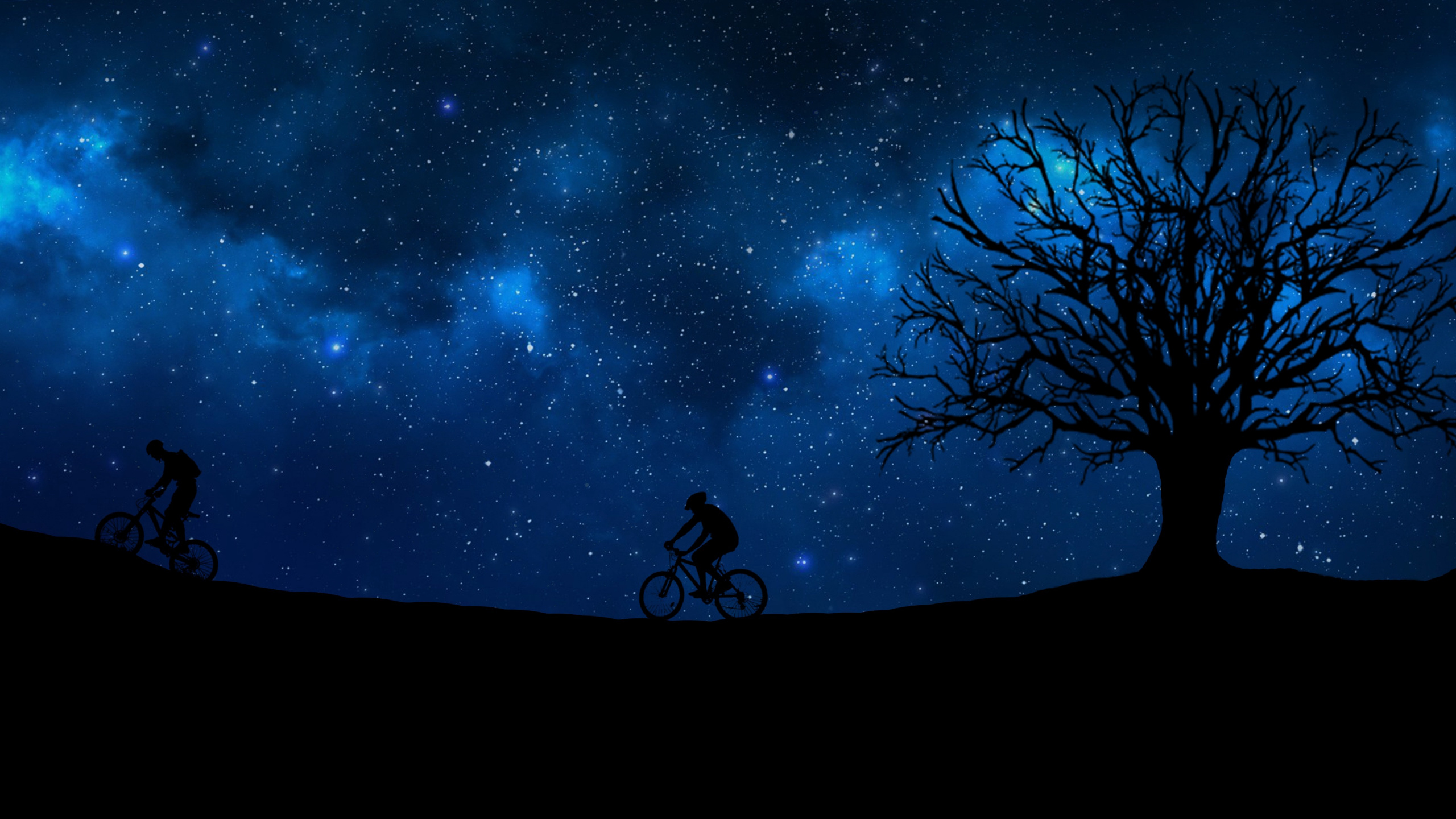 Silueta de Hombre de Pie Bajo la Noche Estrellada. Wallpaper in 2560x1440 Resolution