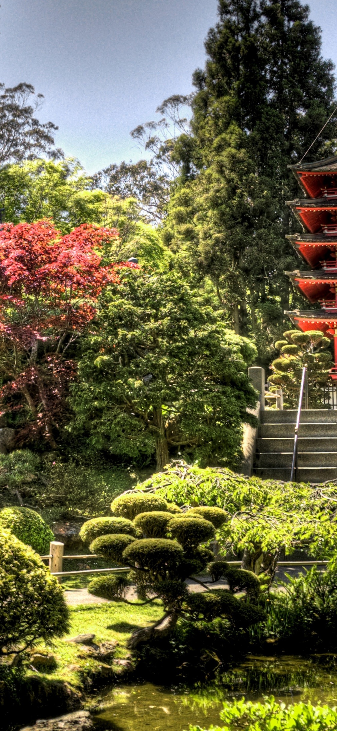Pagoda Roja y Marrón Rodeada de Árboles y Plantas Verdes Bajo un Cielo Azul Durante el Día. Wallpaper in 1125x2436 Resolution