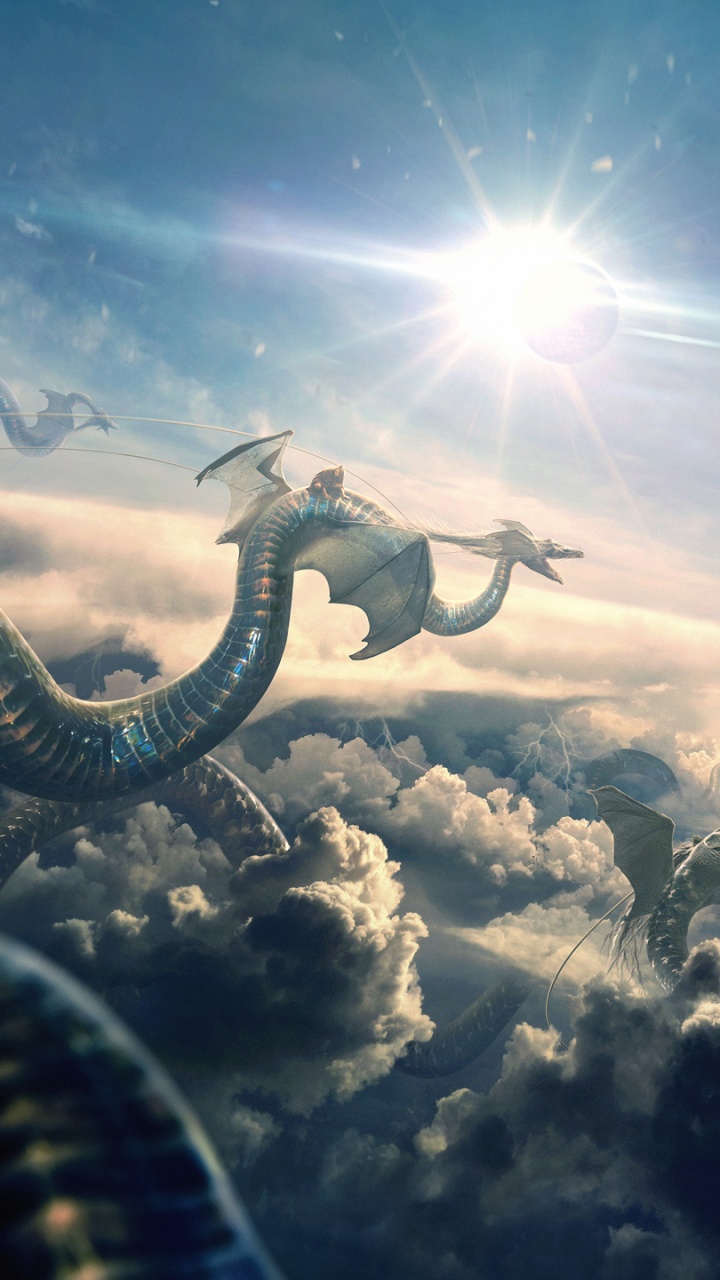 Black and White Aircraft Flying Over Clouds. Wallpaper in 720x1280 Resolution