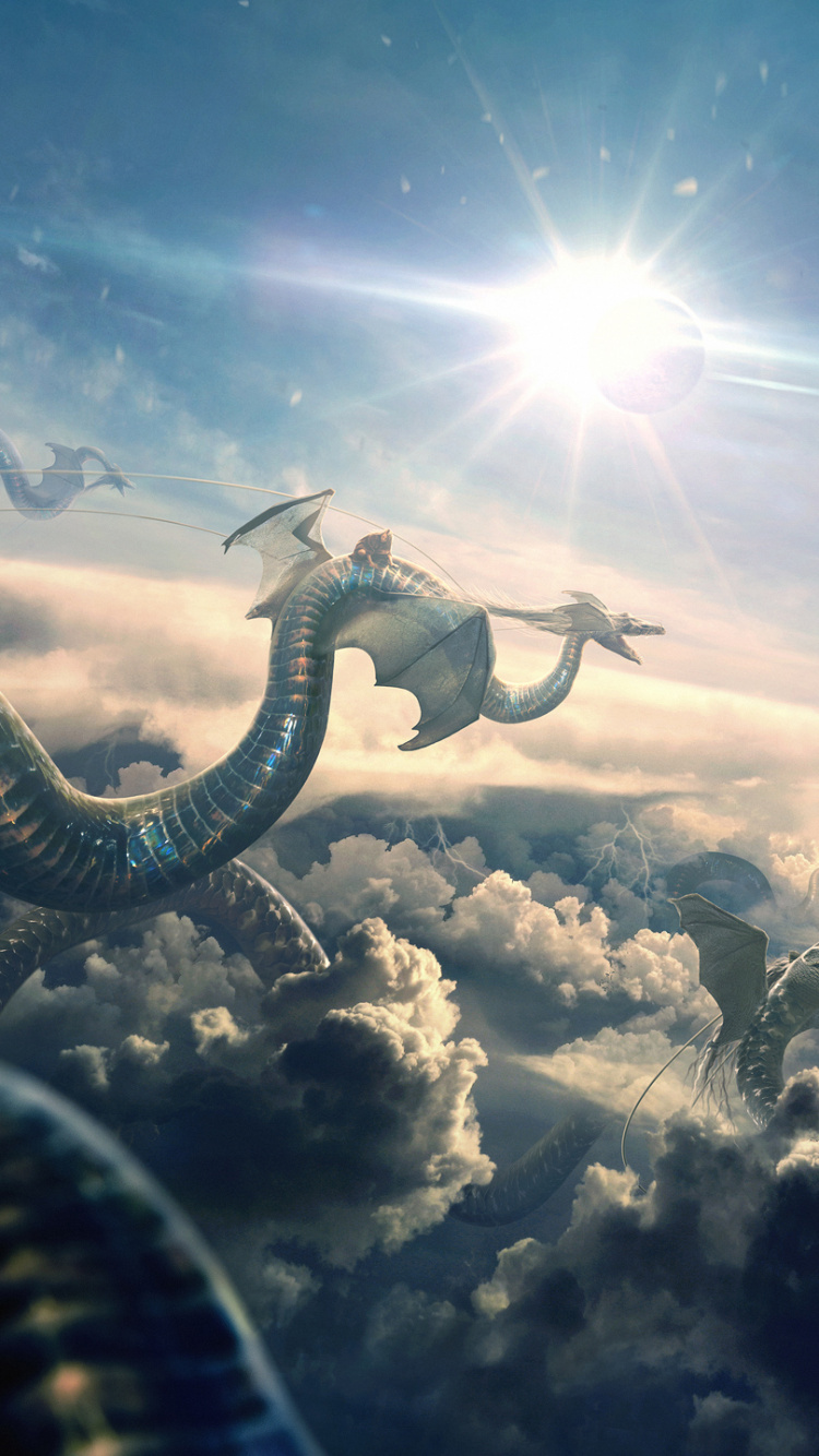 Avion Noir et Blanc Survolant Les Nuages. Wallpaper in 750x1334 Resolution