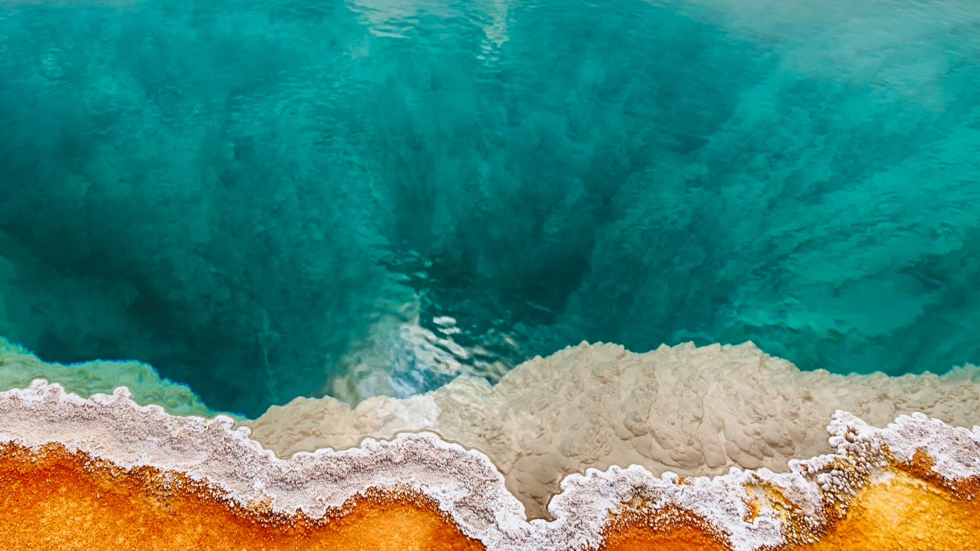 Nokia, Nokia 9, 诺基亚7股票, 诺基亚8, 诺基亚7 壁纸 1920x1080 允许