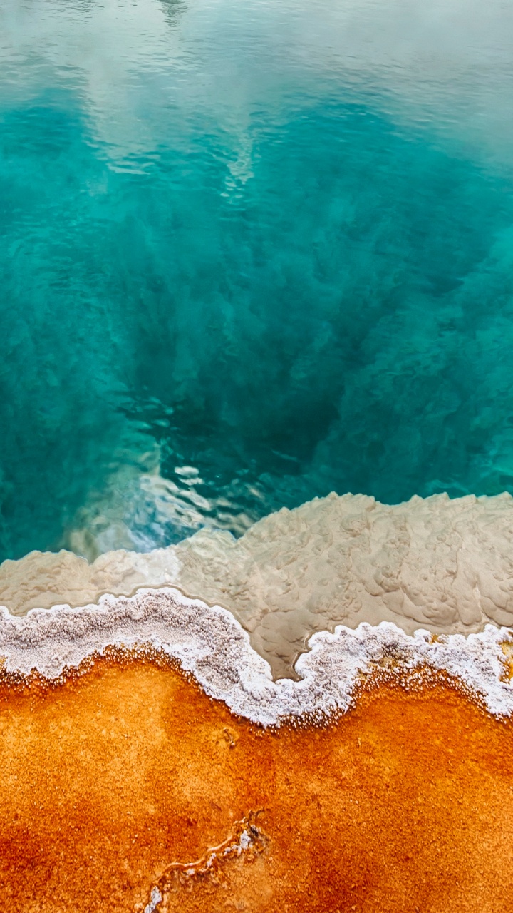 Nokia, Nokia 9, 诺基亚7股票, 诺基亚8, 诺基亚7 壁纸 720x1280 允许