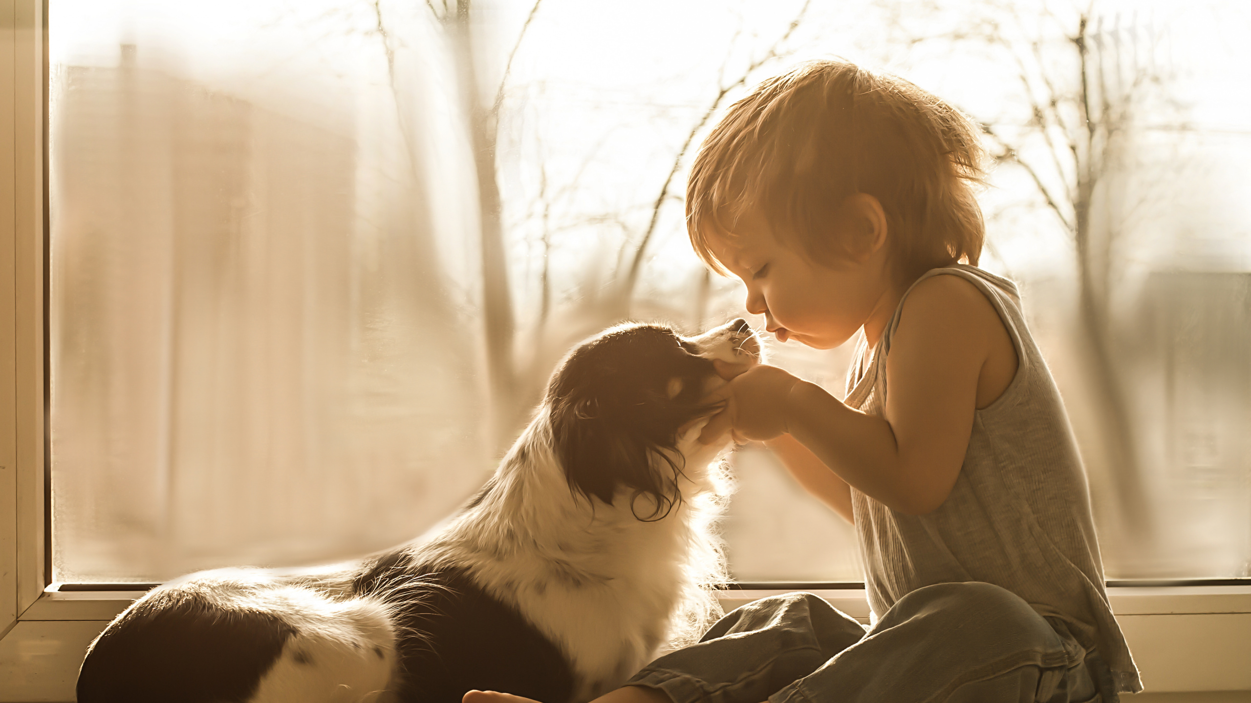 Dog, Love, Emotion, Girl, Puppy. Wallpaper in 2560x1440 Resolution