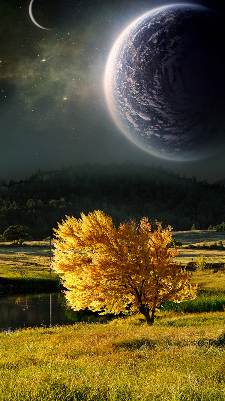 Yellow Leaf Tree Near Lake During Daytime. Wallpaper in 750x1334 Resolution