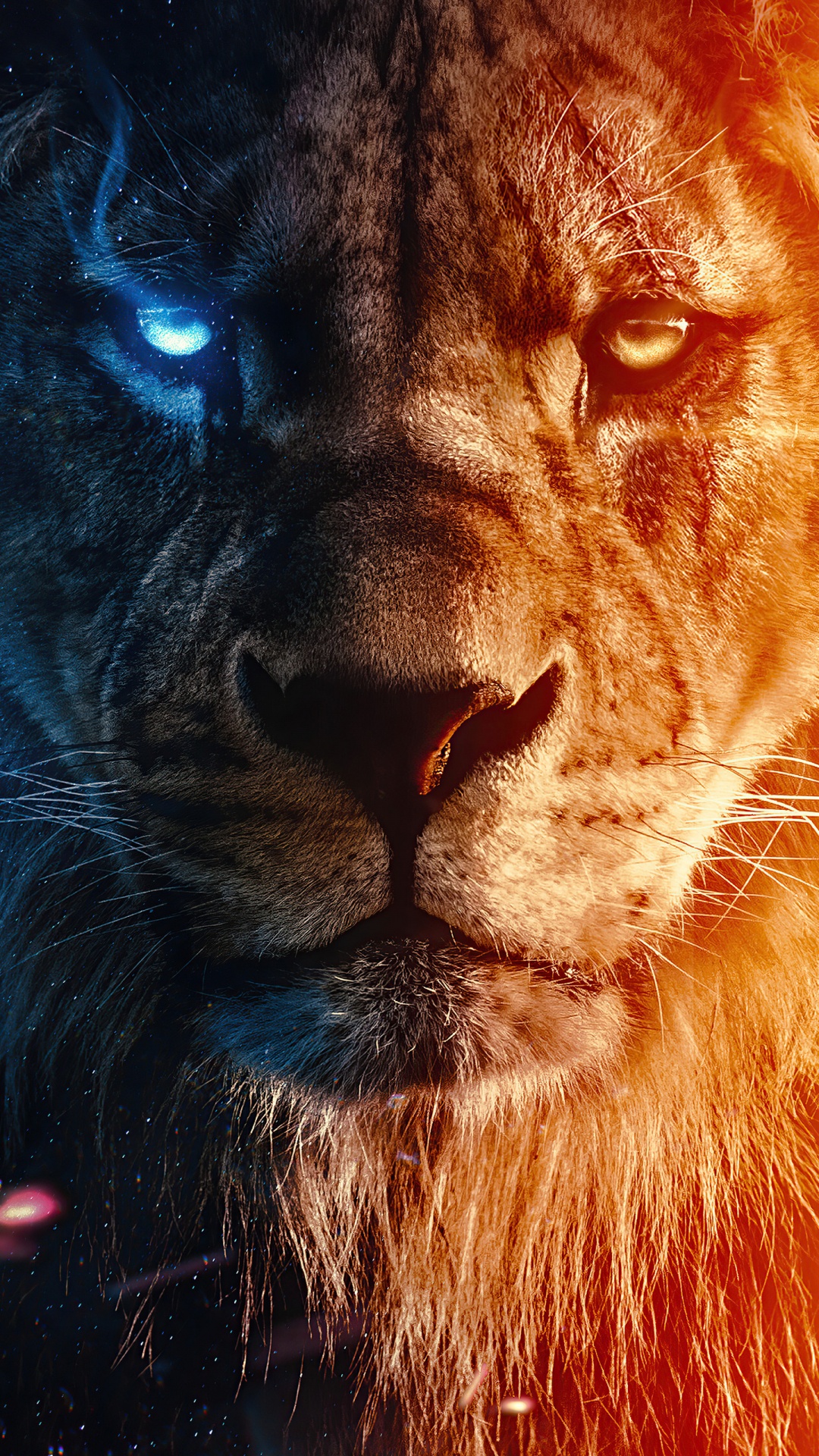 Lion, Simba, Poster, Timon and Pumbaa, Nose. Wallpaper in 1080x1920 Resolution