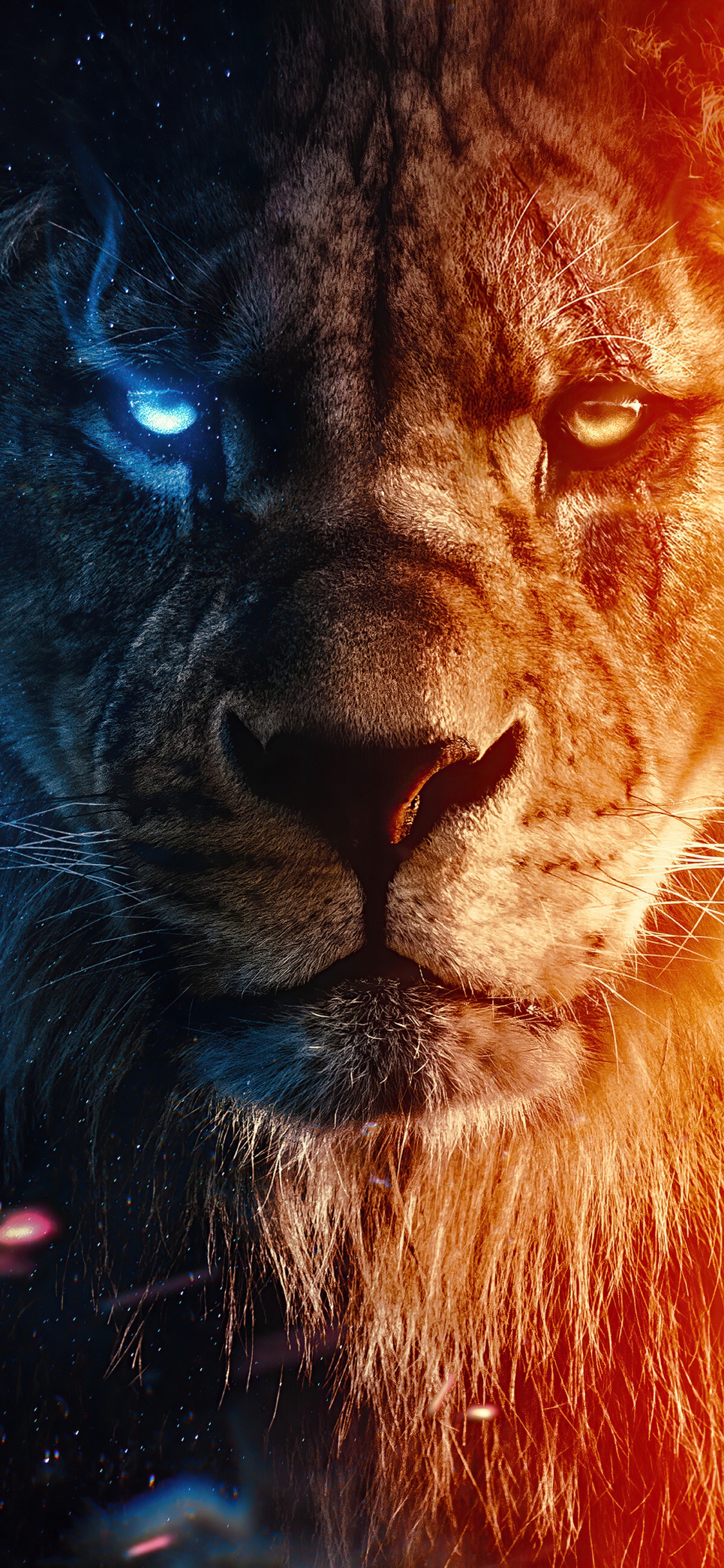 Lion, Simba, Poster, Timon and Pumbaa, Nose. Wallpaper in 1125x2436 Resolution