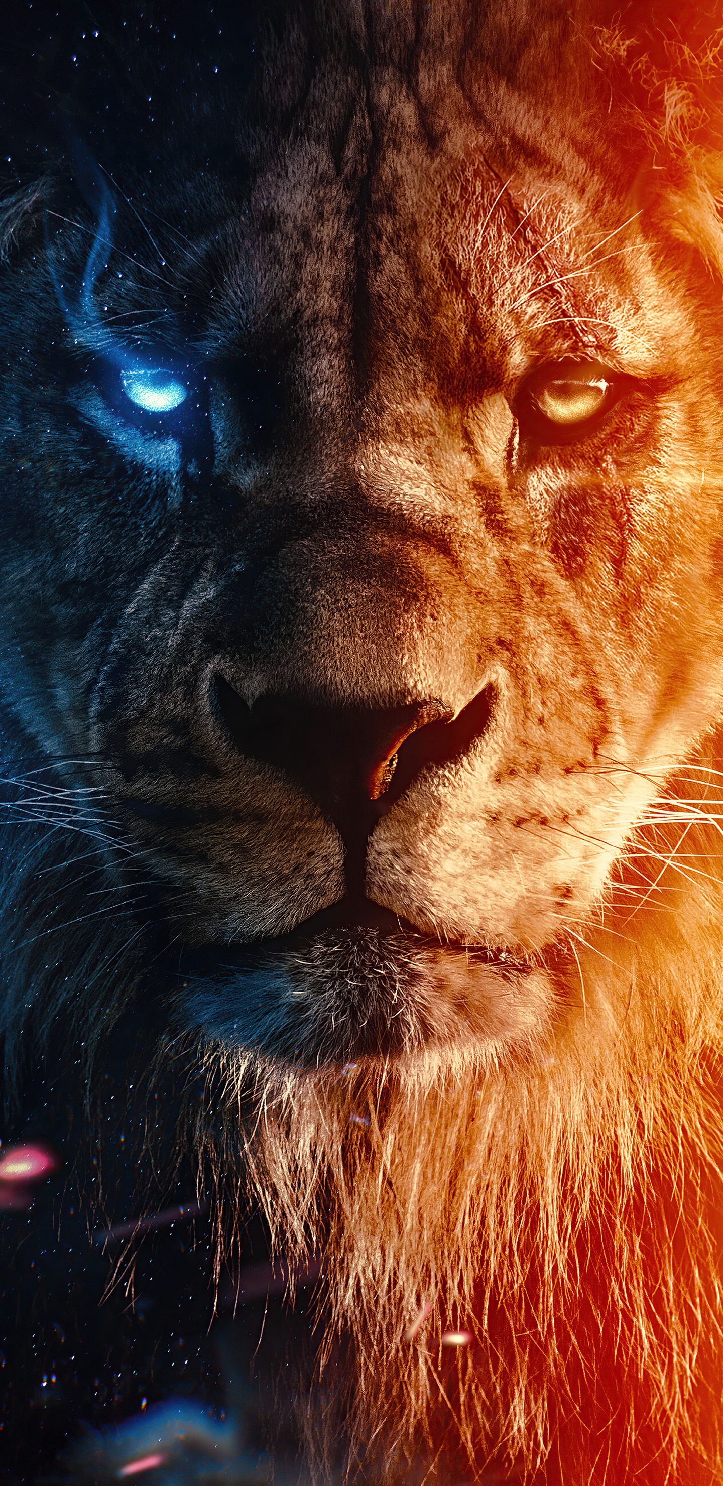 Lion, Simba, Poster, Timon and Pumbaa, Nose. Wallpaper in 1440x2960 Resolution