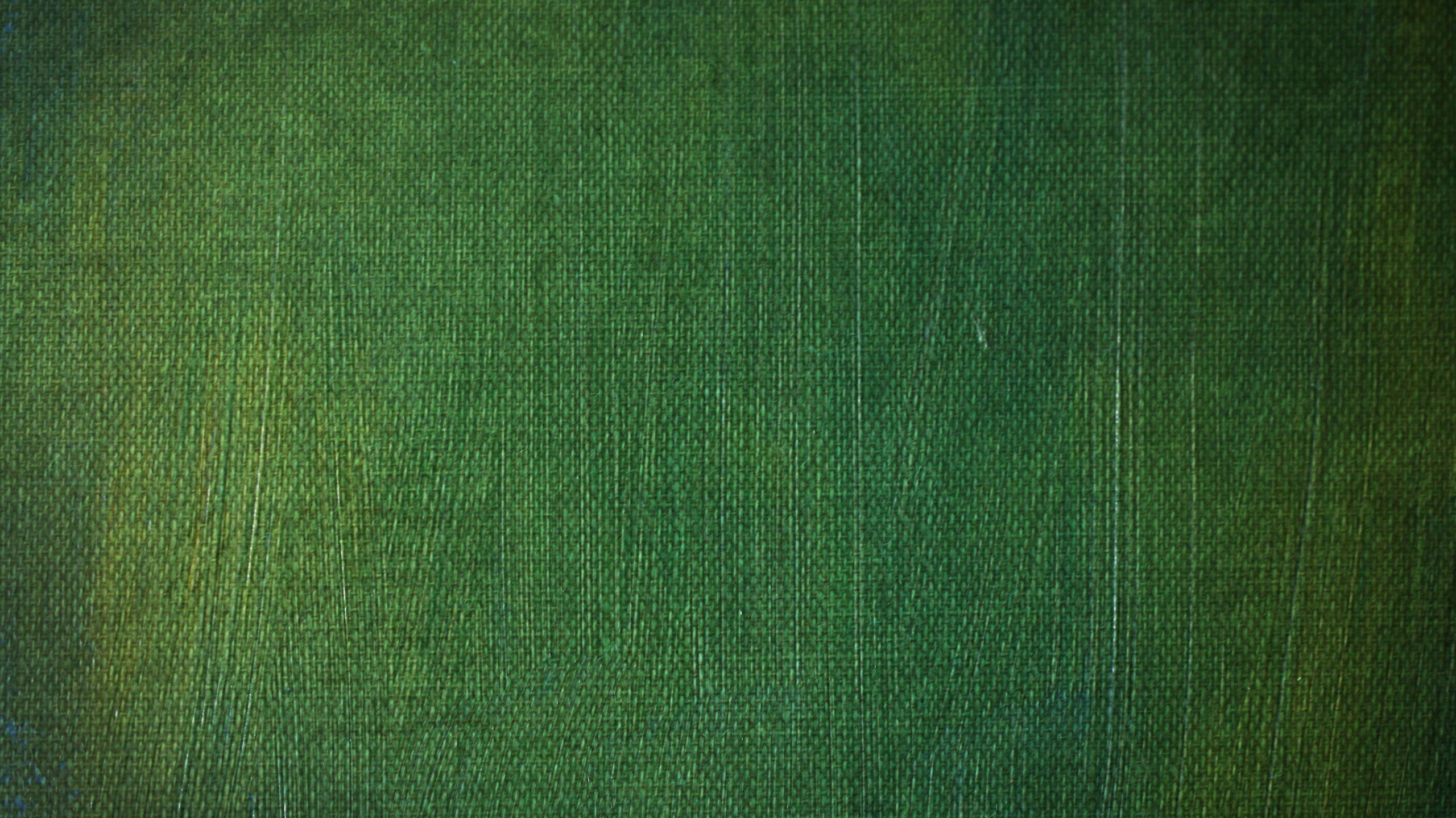 Green Textile in Close up Image. Wallpaper in 2560x1440 Resolution