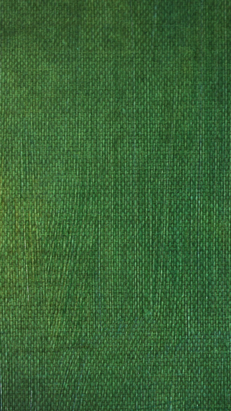 Green Textile in Close up Image. Wallpaper in 750x1334 Resolution