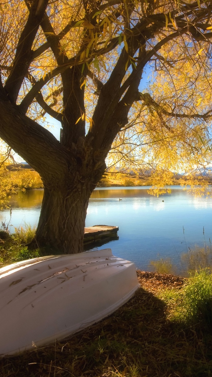 White Boat on Lake Shore During Daytime. Wallpaper in 720x1280 Resolution