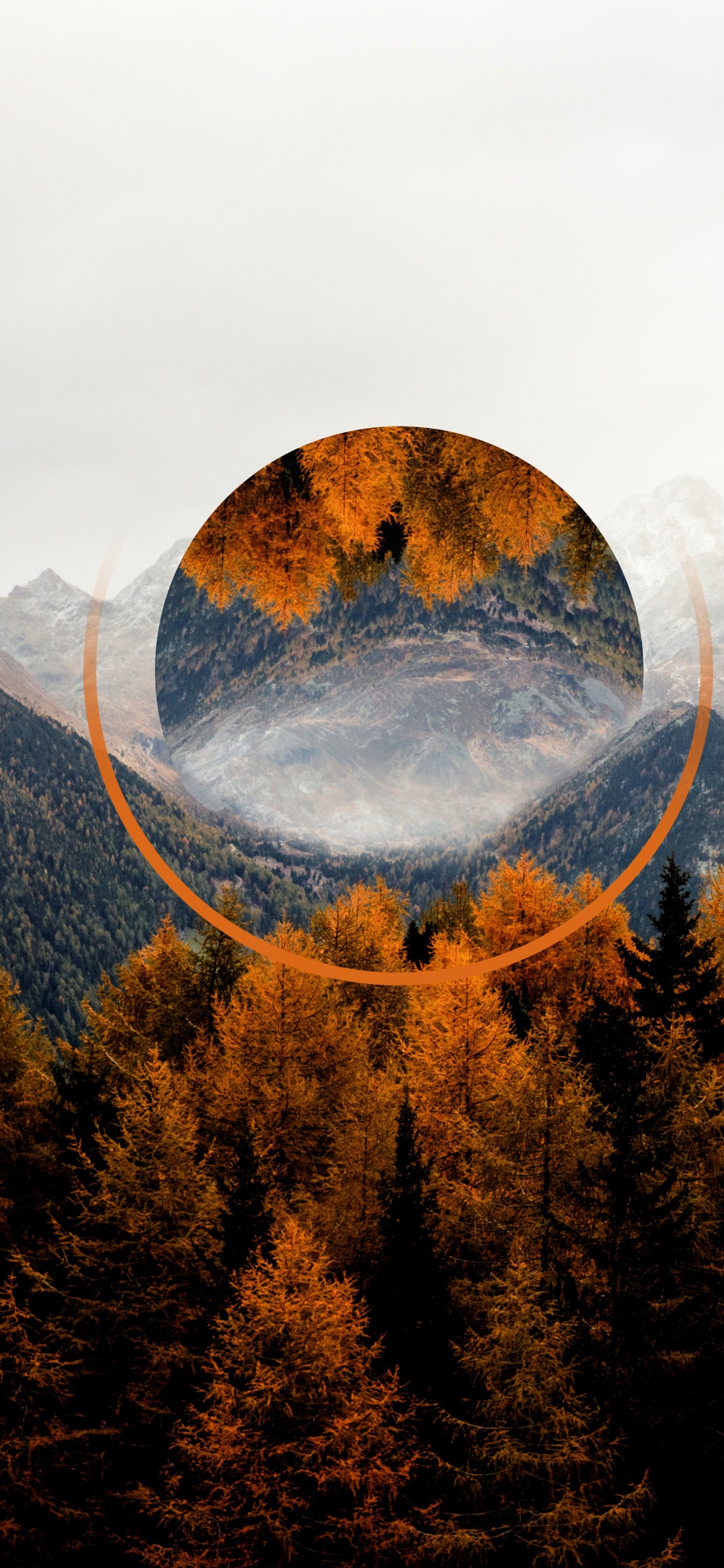 Herbst, Cloud, Ökoregion, Naturlandschaft, Baum. Wallpaper in 1242x2688 Resolution