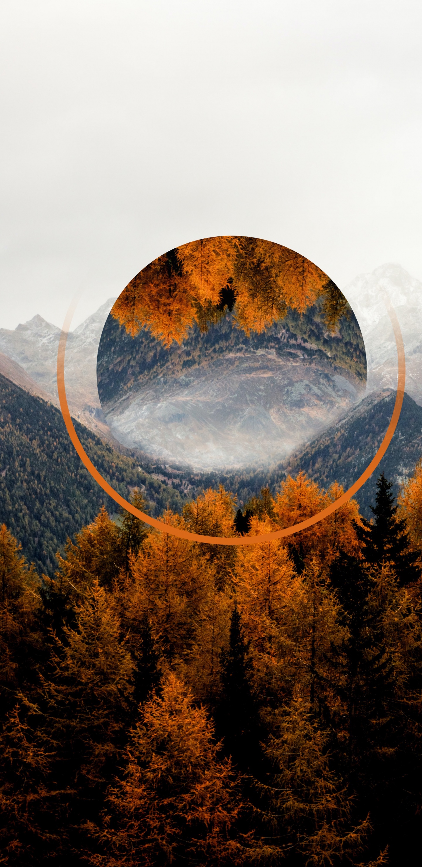 Herbst, Cloud, Ökoregion, Naturlandschaft, Baum. Wallpaper in 1440x2960 Resolution