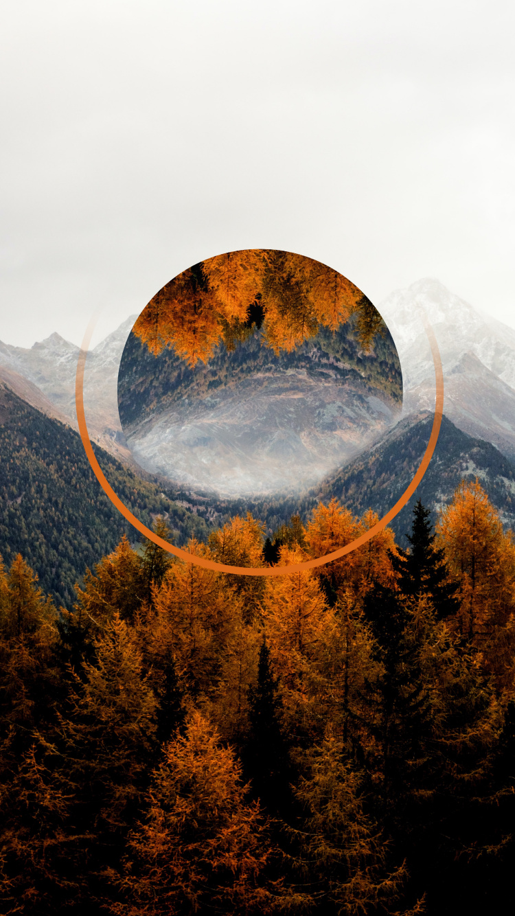 生态区, 自然景观, 高地, 落叶松, 日落 壁纸 750x1334 允许