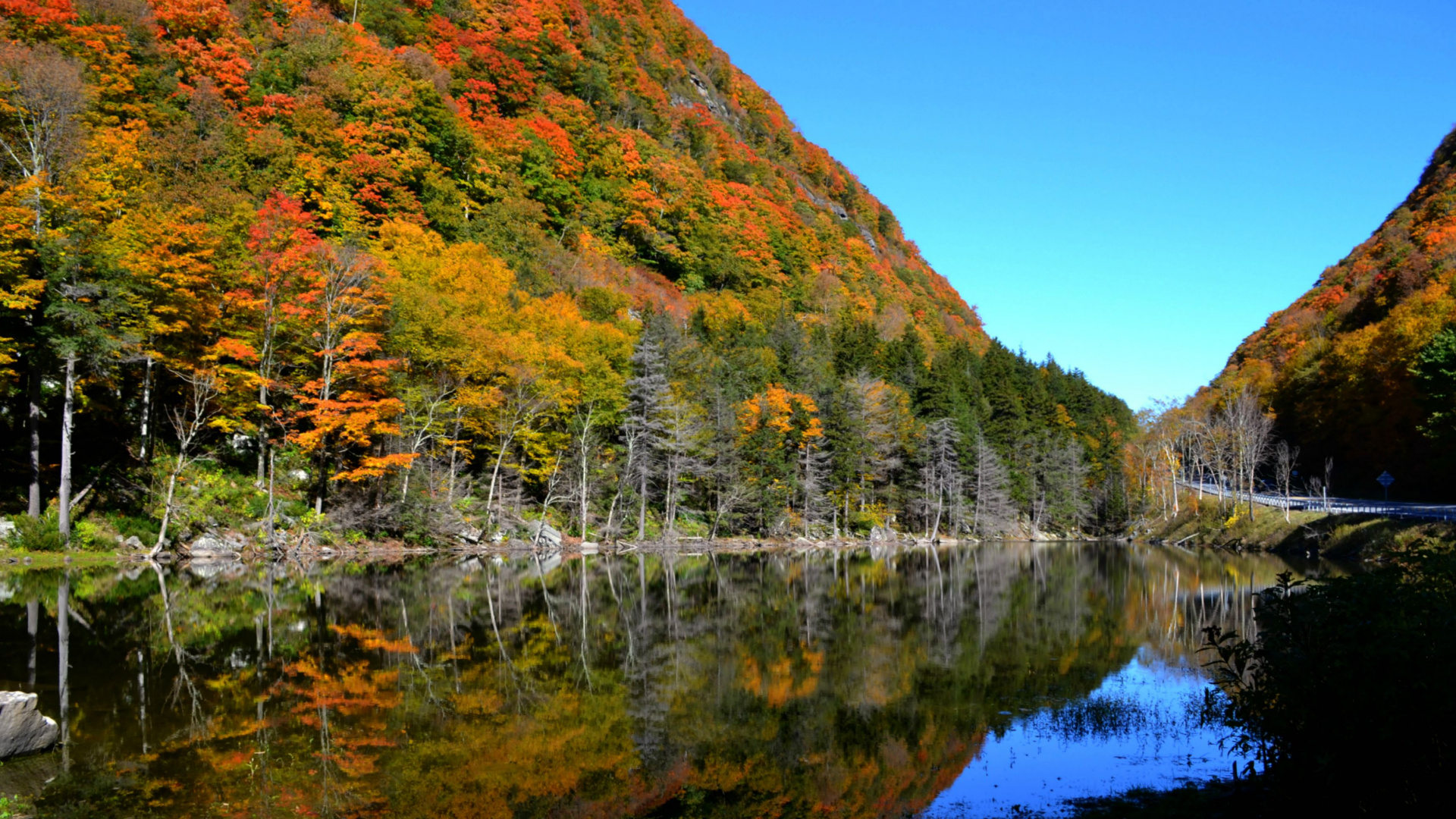 Green and Brown Trees Beside Lake Under Blue Sky During Daytime. Wallpaper in 1920x1080 Resolution